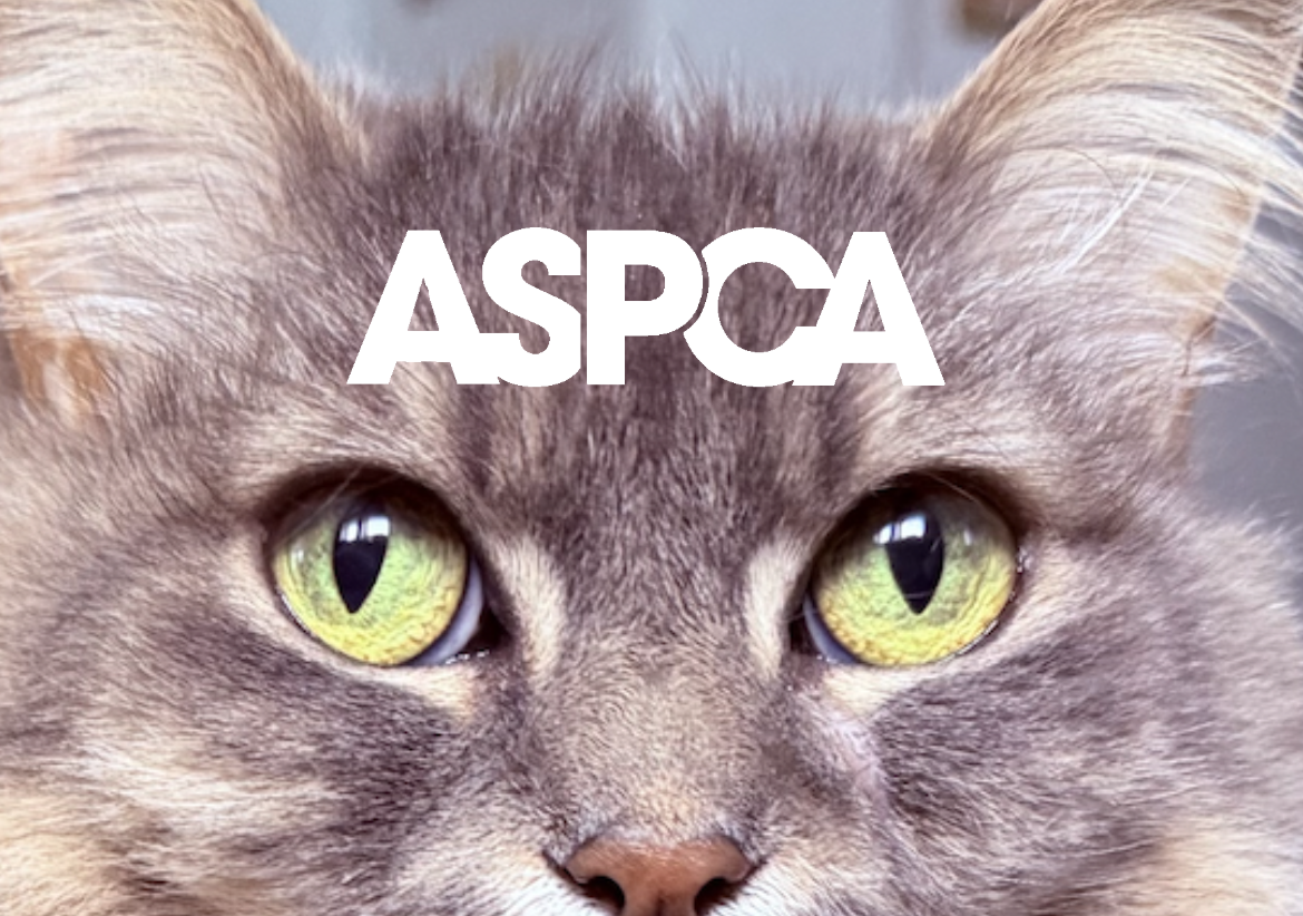 ASPCA