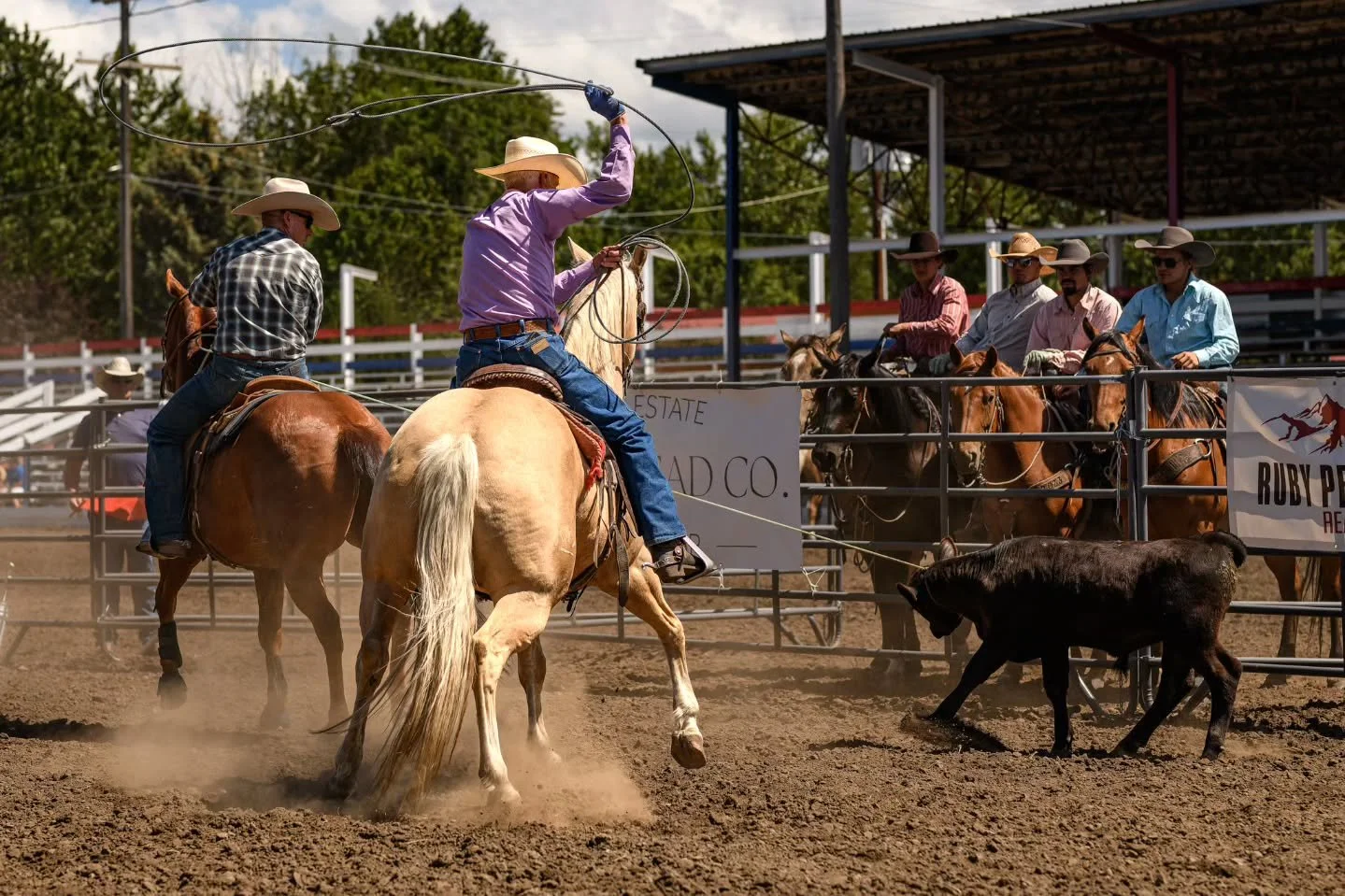 Ranch Rodeo weekend is one of our favorite traditions &mdash; a trail ride on the East Moraine, a community dinner and auction, and real working-ranch action in the arena.
And every bit of it helps support scholarships for local students.
Join us Jun