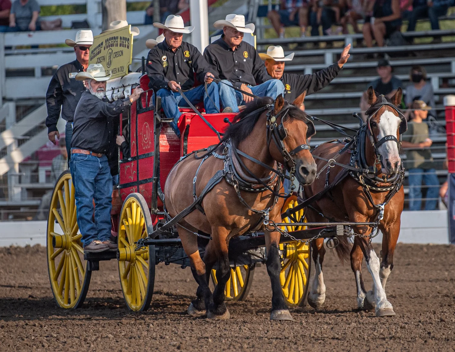 Get Involved — Chief Joseph Days Rodeo