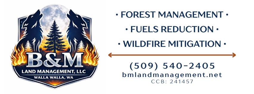 B&M Land Management.png