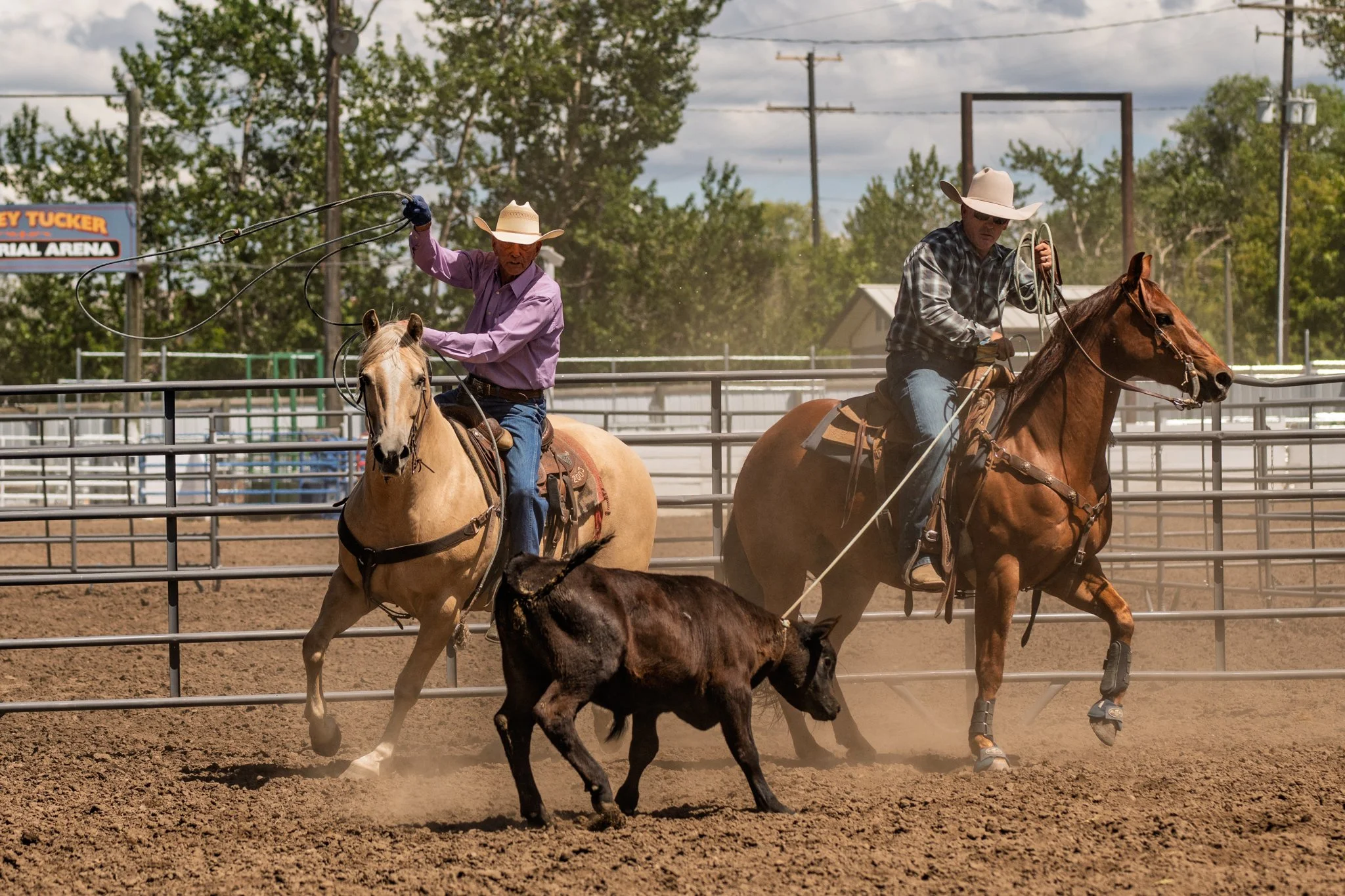 CJD Ranch Rodeo | Join the Adventure — Chief Joseph Days Rodeo