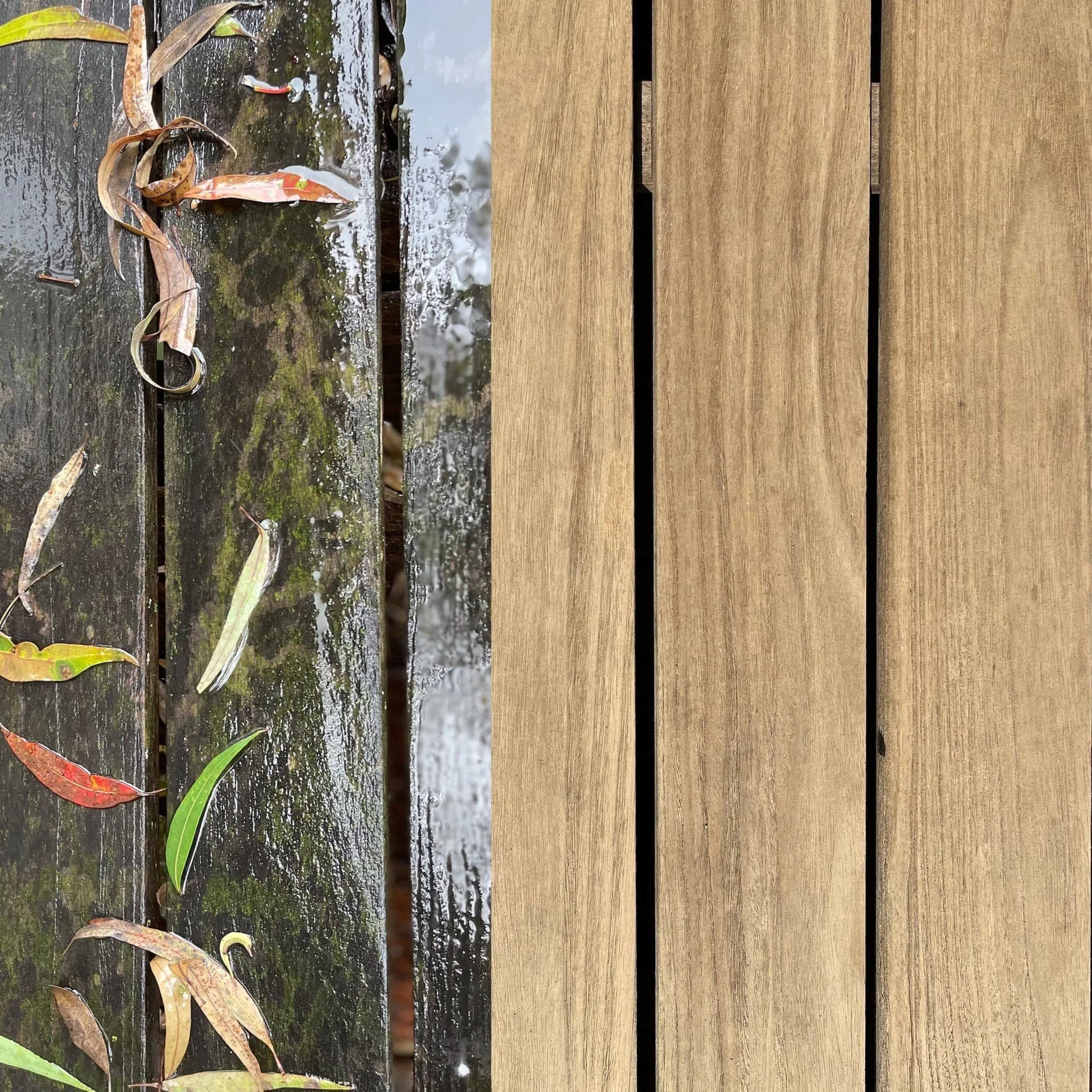 How to clean mould off teak outdoor furniture and decks — Sydney