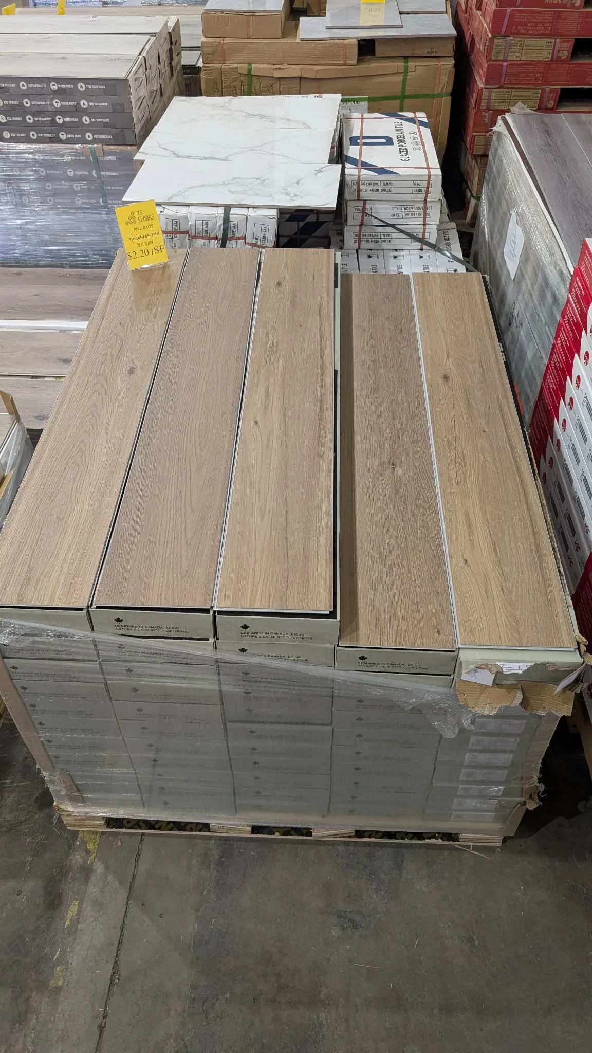 Pine Daisy - 7 mm - $2.20 Sf