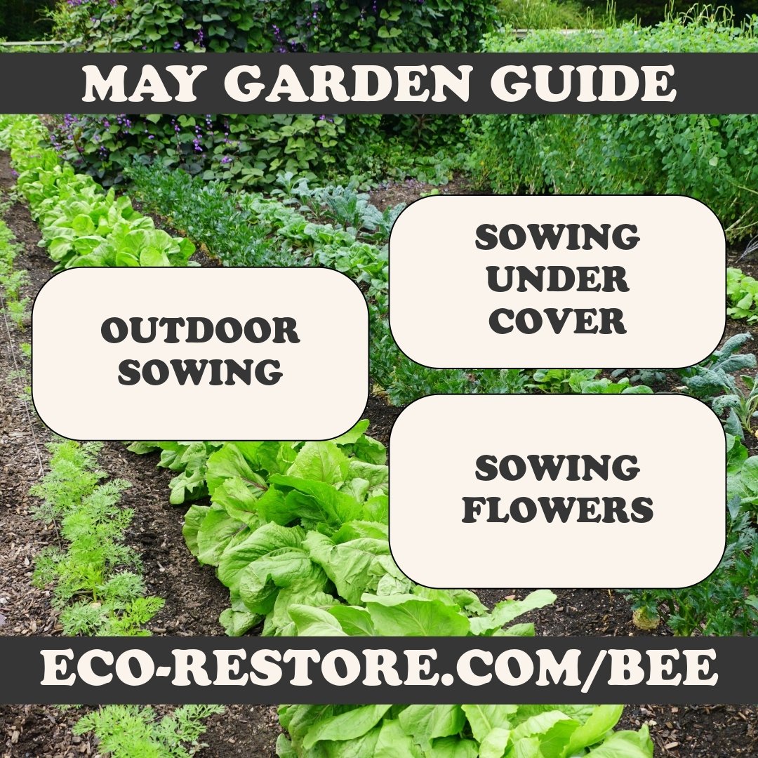 🌧️☀️ As April showers fade away, May heralds the arrival of warmer days and longer sunshine hours in the Pacific Northwest. It's an exciting time for gardeners as we transition from the last frost and into the heart of the growing season. With the s