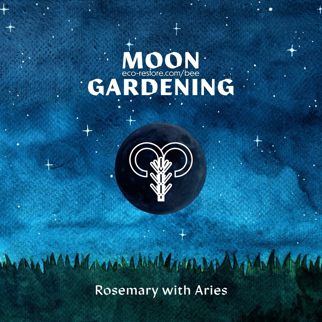 🌱✨ Welcome the boldness of Aries this April! 🌿🔥 With its energy urging us to take action and embrace change, it's the perfect time to revitalize our gardens. But amidst distractions, how do we stay focused? Harness the determination of Aries and t