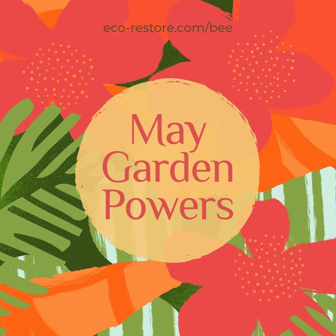 April Showers Bring May Garden Powers! 🌱✨

The springtime breeze fills the air with promise and the days grow longer in the Pacific Northwest.  Let's break down each essential task for this month, ensuring your garden thrives in the unique condition