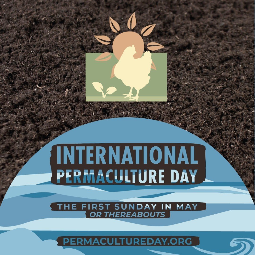 🌱✨ Happy International Permaculture Day! 🌍🌿 Today, we celebrate the incredible impact of permaculture on our planet and communities. Originating from Australia in 1978, permaculture is a sustainable design system that harmonizes with nature to cre
