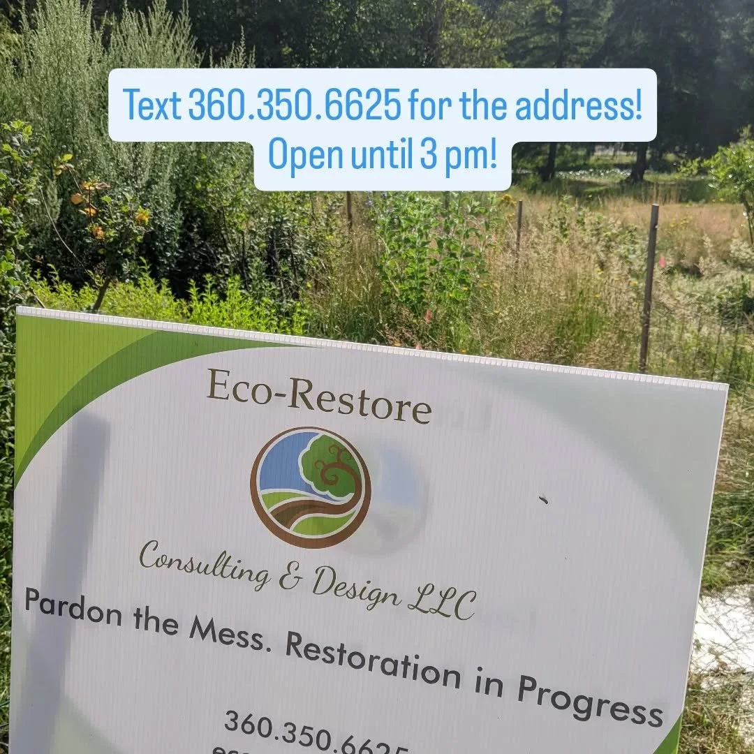 Didn't RSVP in time for the address? Text 360.350.6625 and come out before 3pm.

Sign up on the website to stay in touch about upcoming events!