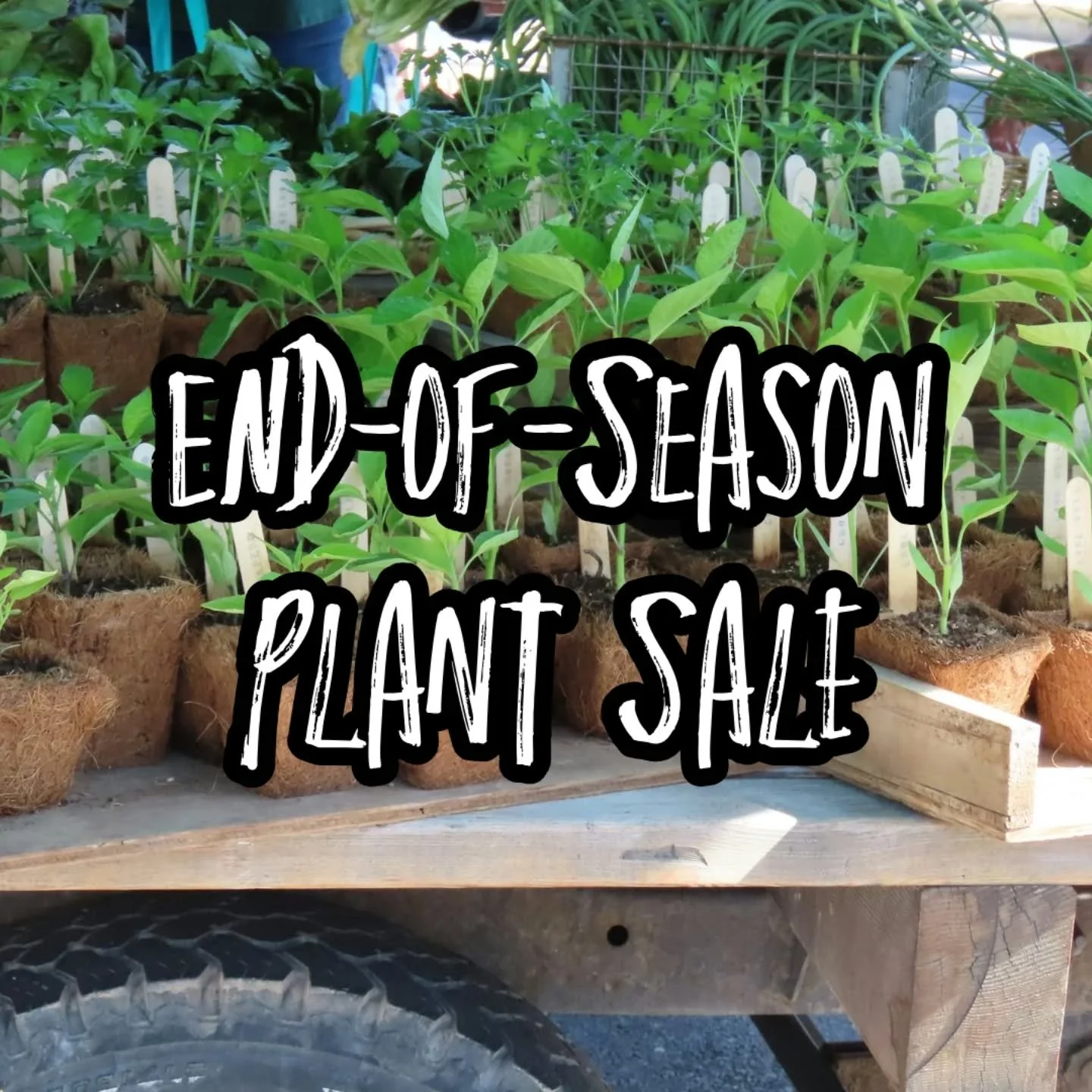 Our End-of-Season Plant Sale is happening #Sunday, July 27, from 10 AM to 3 PM, and you're invited to stock up, #connect, and #celebrate the season with us.

As always, we&rsquo;ll be there to offer #advice, share #stories, and help you choose the ri