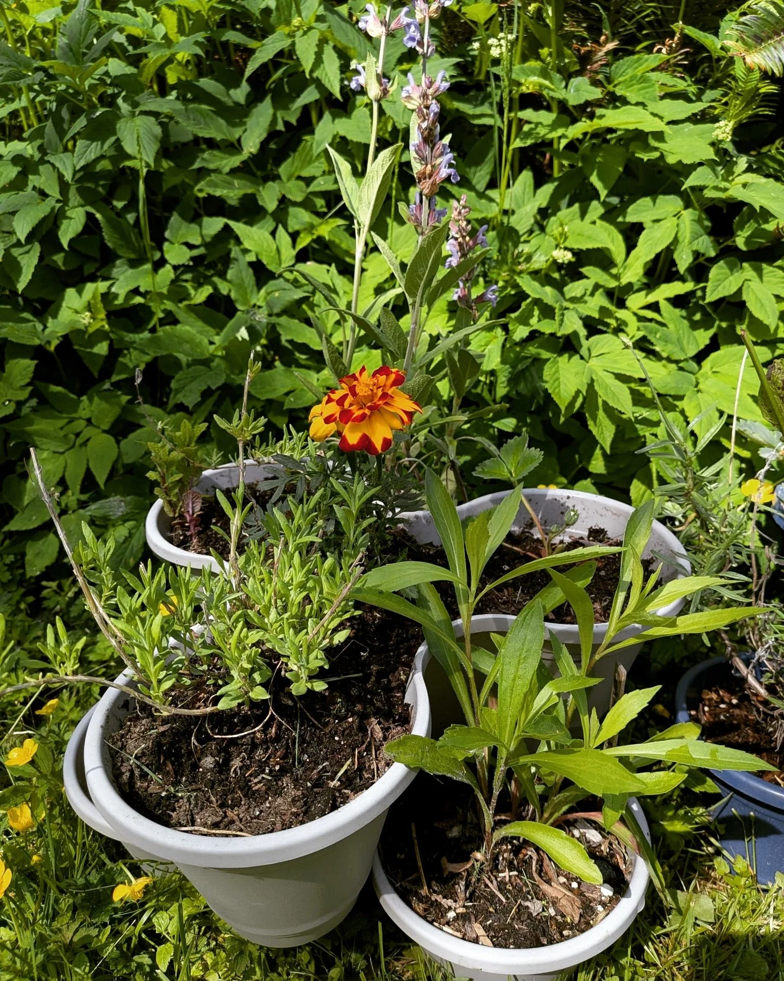 Eco-Restore Nursery &amp; Gardens
eco-restore.com/nursery

Come meet us in the gardens, enjoy our locally grown plants, and take your favorites home with you today!

Forever Gardener?
First-Time Gardener?

We&rsquo;re here for you and so are our plan