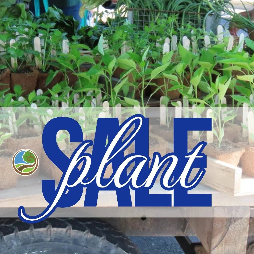 PLANT SALE: eco-restore.com/nursery 
Take your favorites home with you today! 
June NURSERY SPECIAL: Father's Day Gifts
2-tier planters with 7 plants for $40 See less