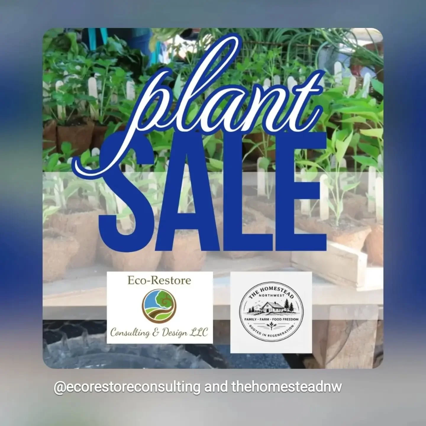 7/11 9am-1pm 💚💐💚

Plants
Pots
Starts
Accessories 
Tools

DM for location 

Priced to sell!🎉