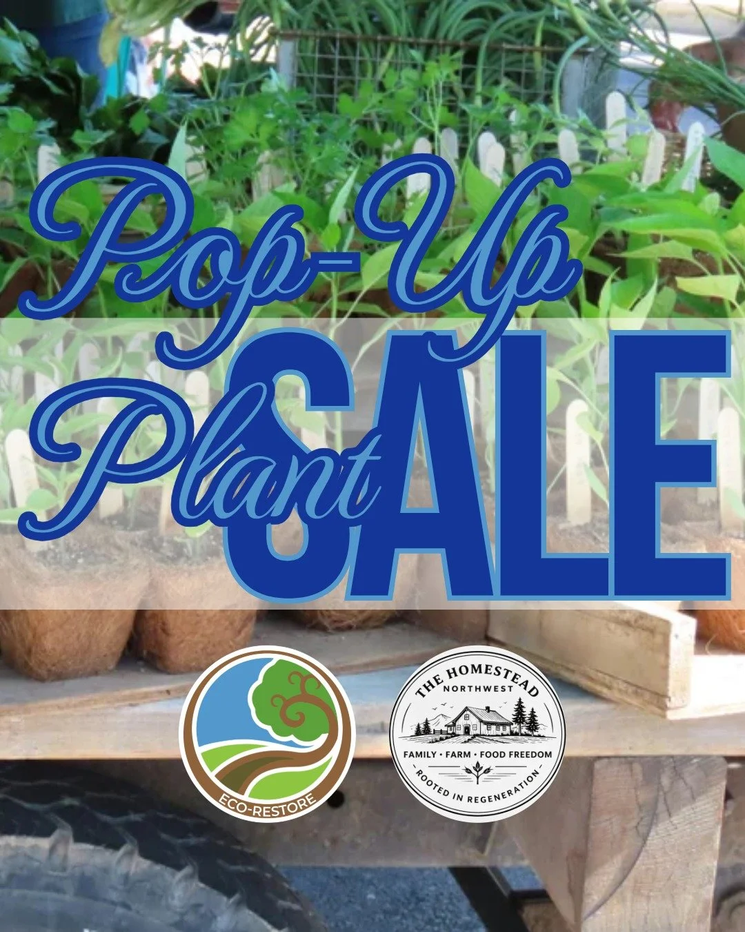 POP-UP PLANT SALE 🪴
SATURDAY 7/11 9:00 AM TO 1:00 PM 

Call or text for location 
(360) 350-6625 

Plant List: eco-restore.com/nursery