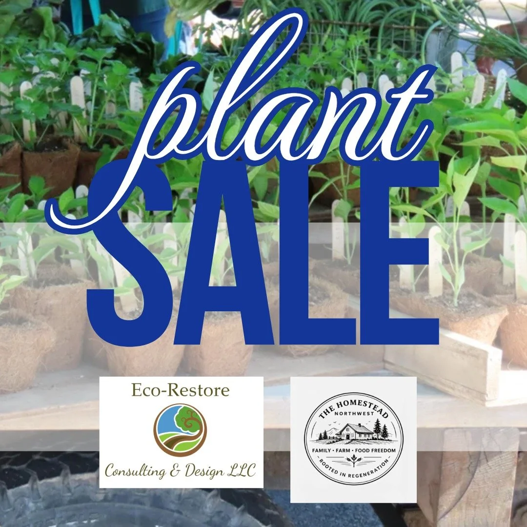 Visit the new amazing collaboration of The Homestead NW and Eco-Restore!!
@thehomesteadnw @ecorestoreconsulting 
We're having a yard &amp; garden sale!🌻

We have a variety of plants, garden accessories and other treasures from life on the farm. A se