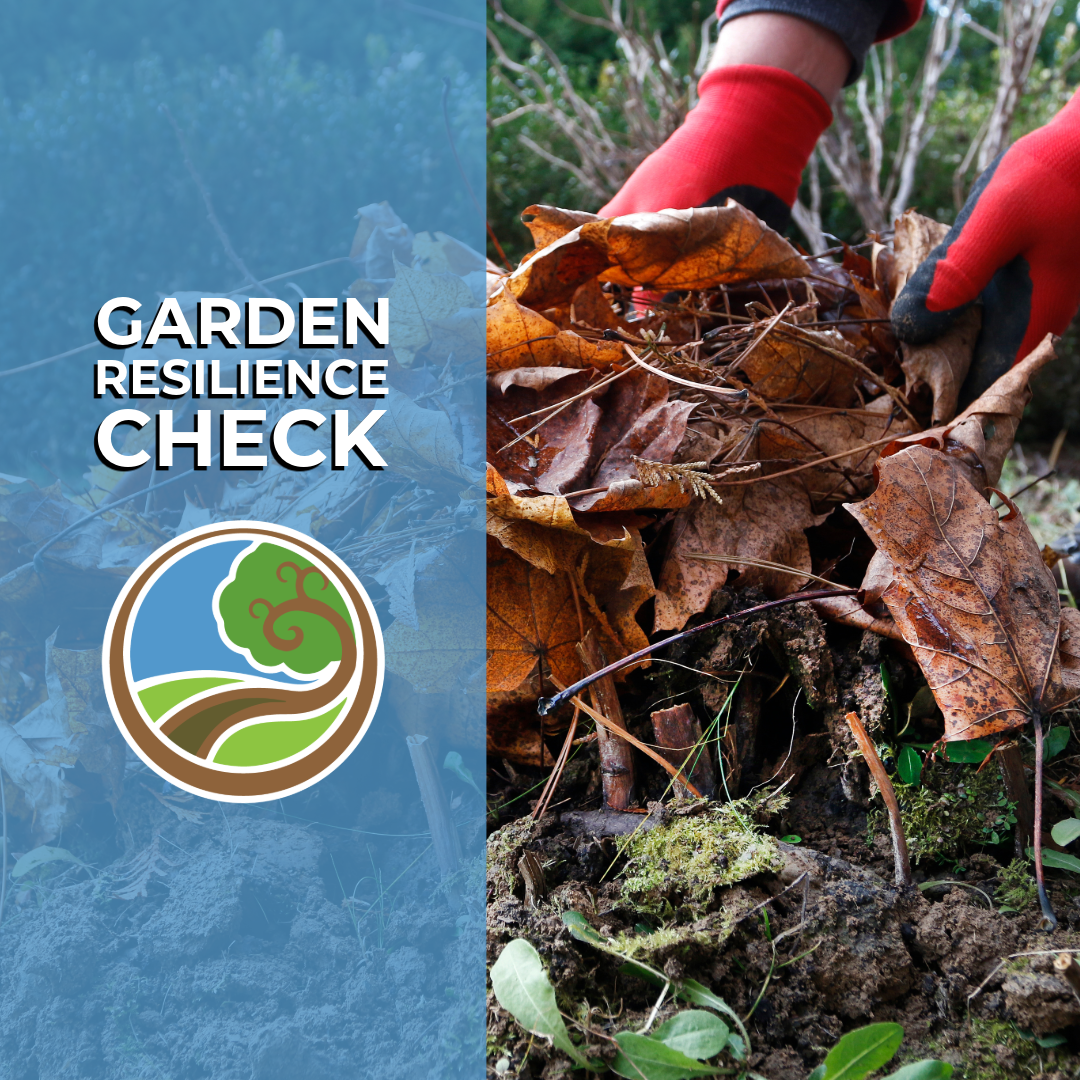 The Resilience Roadmap: Year-Round Garden Performance