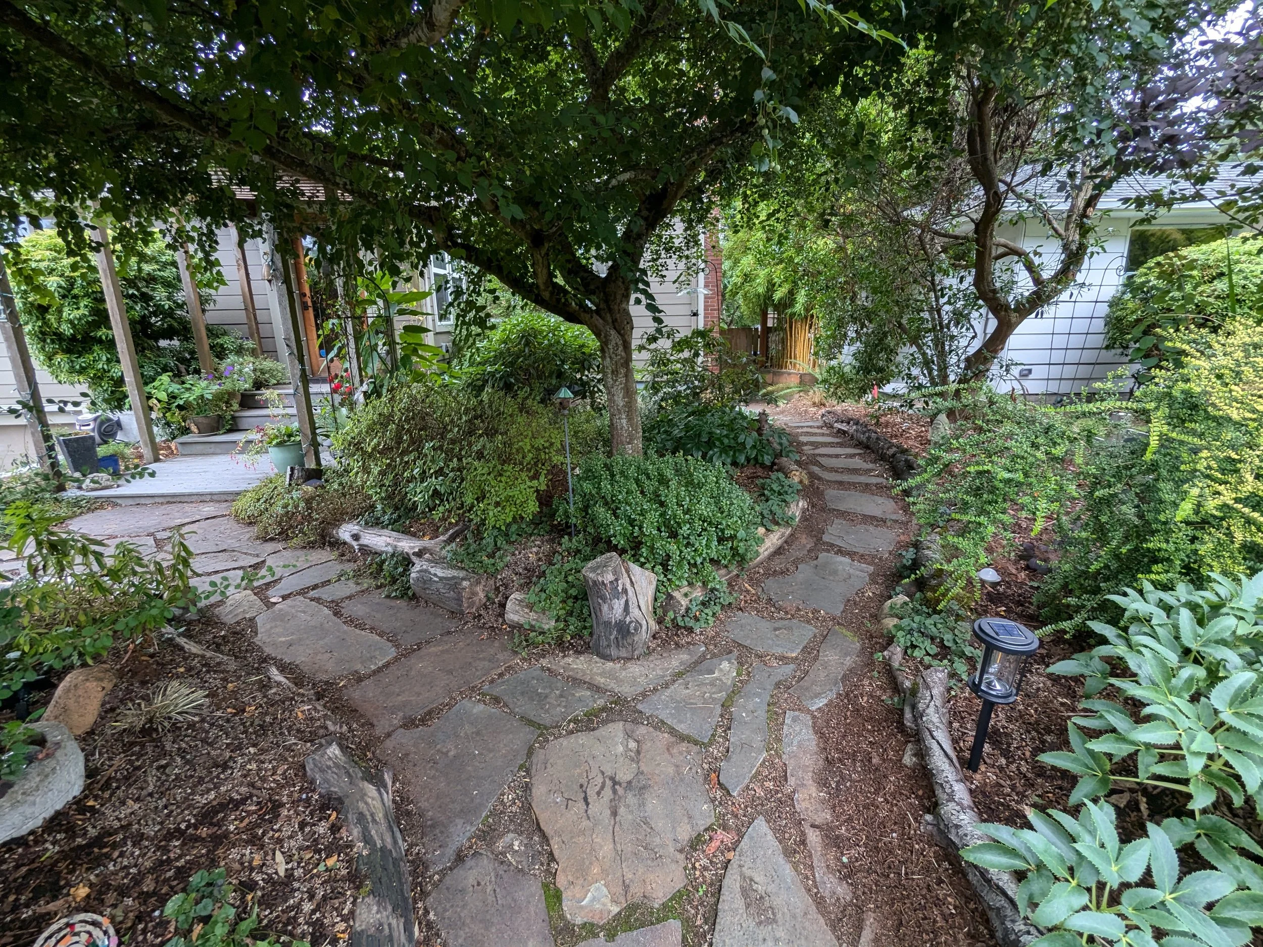 PXL_20240917_181745647.jpg