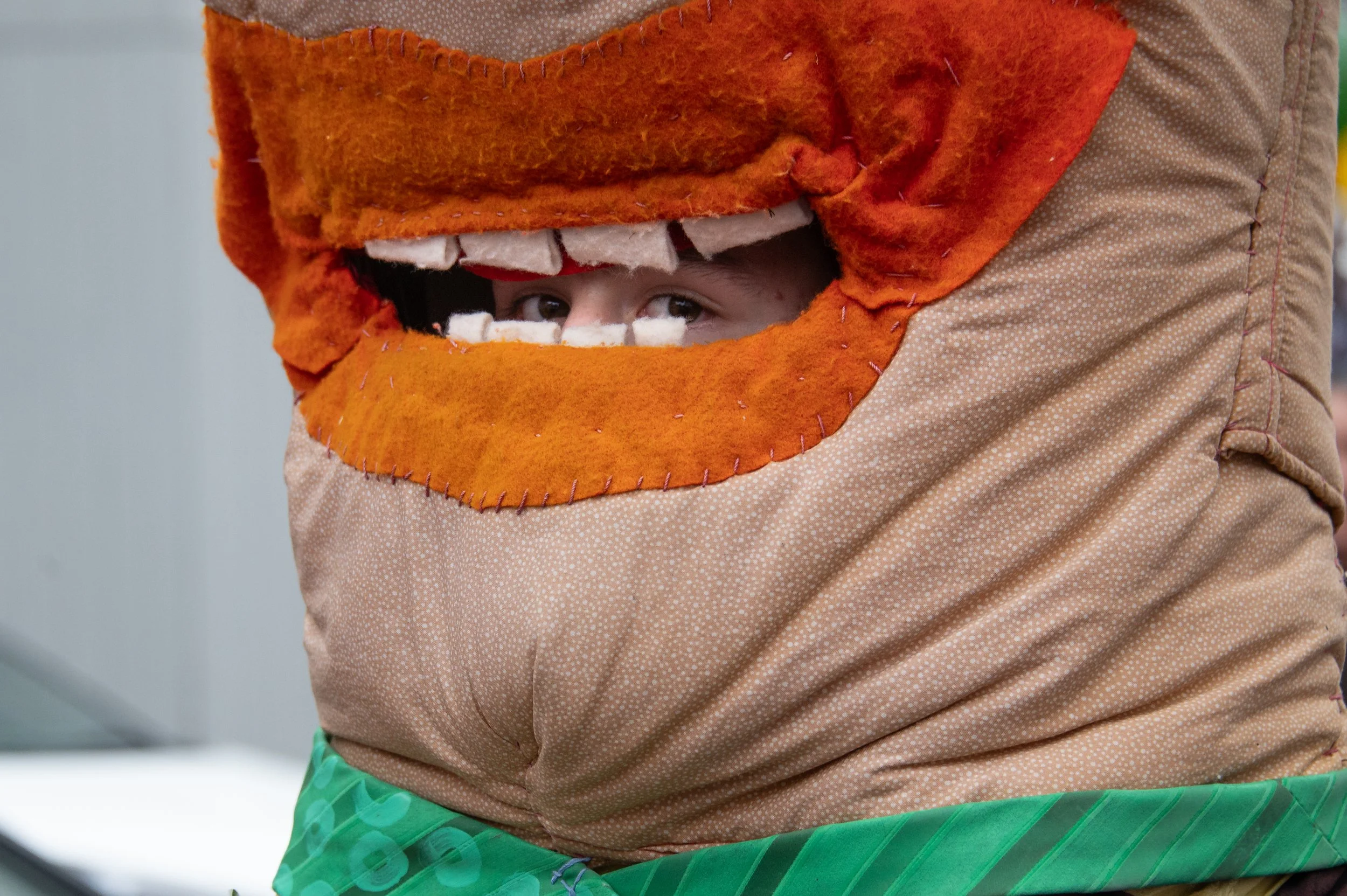 A parade goer's eyes are visible through their costume during "Honey for the Heart," a parade held yearly in Athens, Ohio. Taken for Ohio University Communications and Marketing.