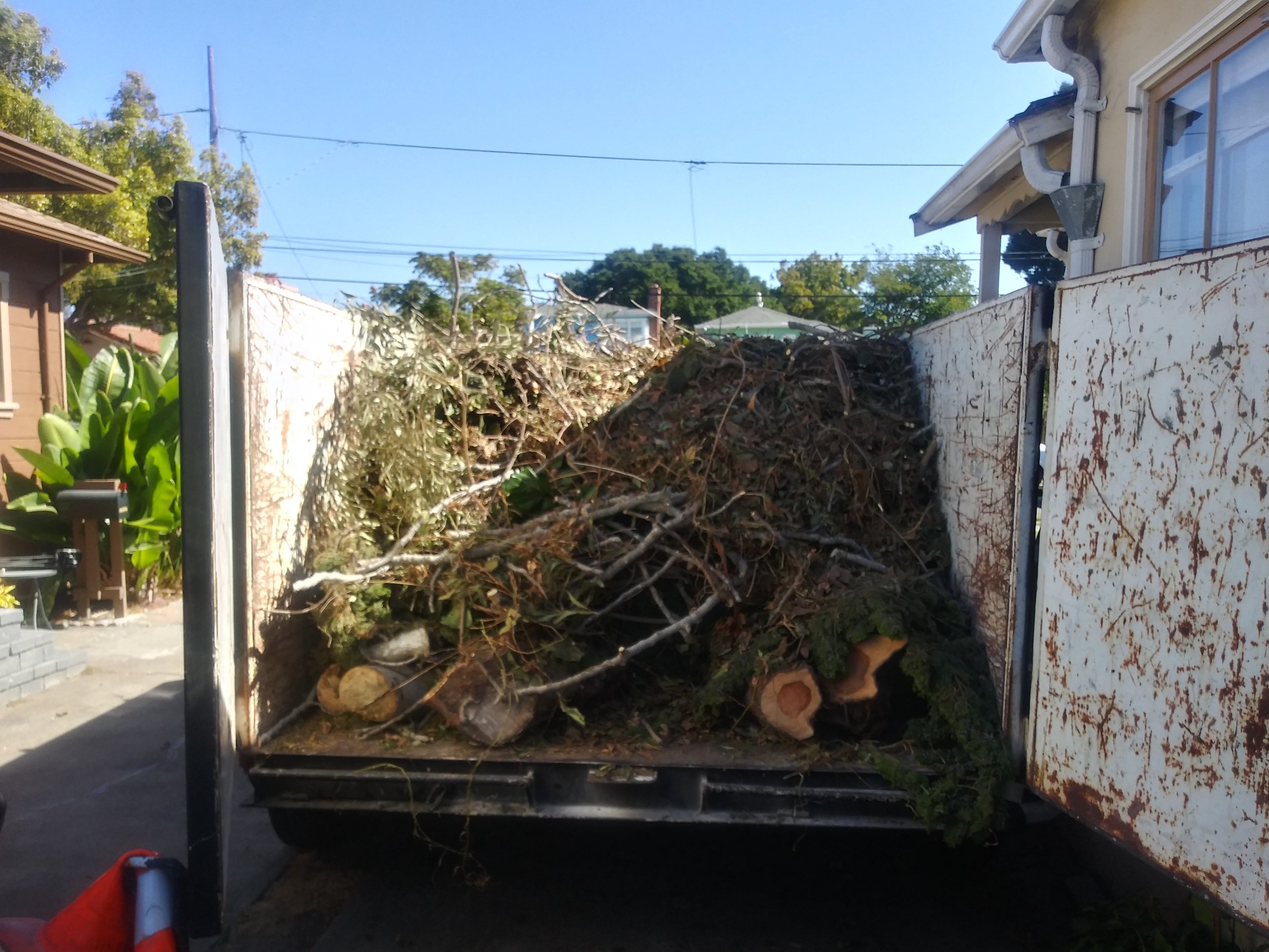 Rent a dumpster for your Tree debris removal project.