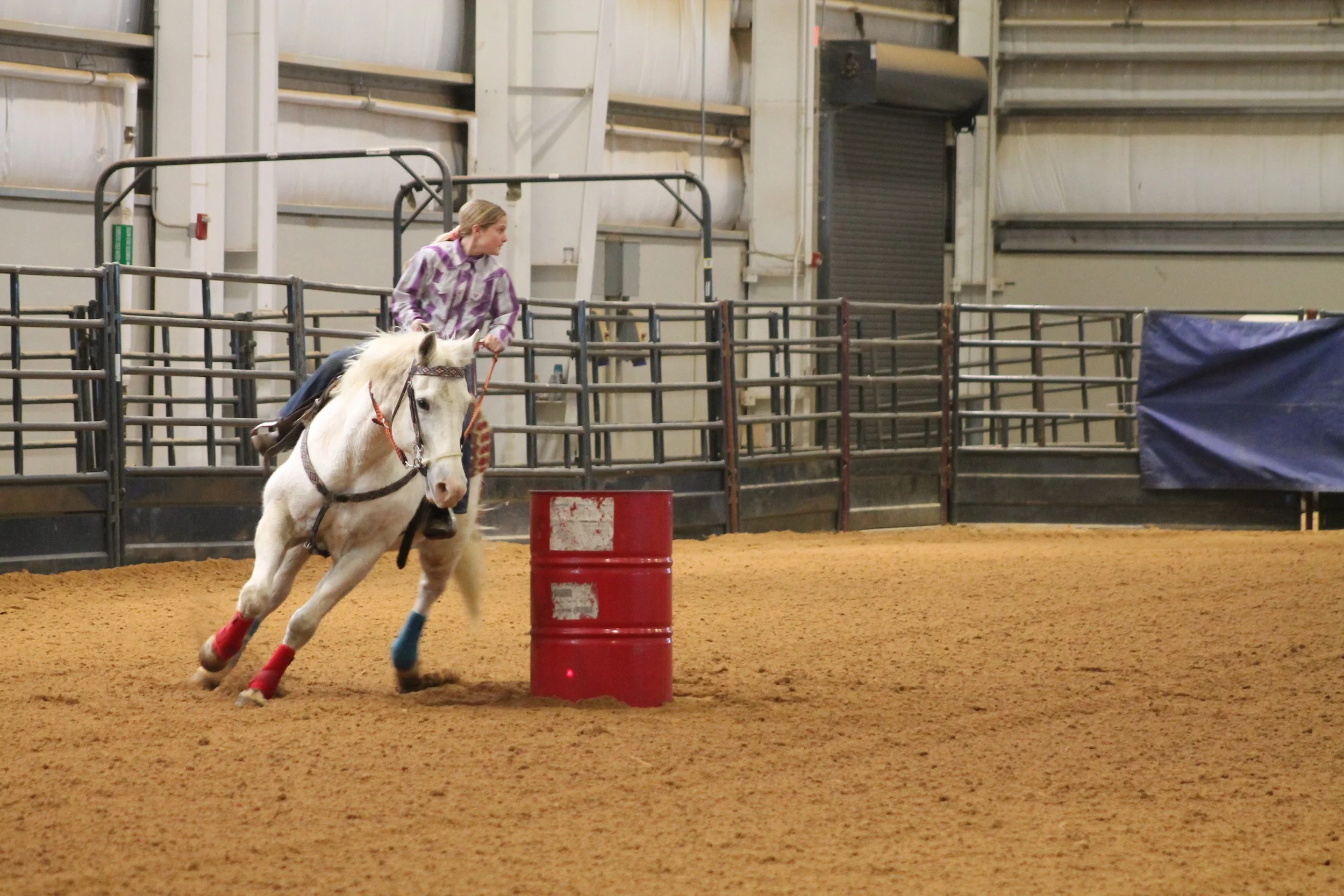 4H HORSE SHOWS — Bell 4H Horse Club
