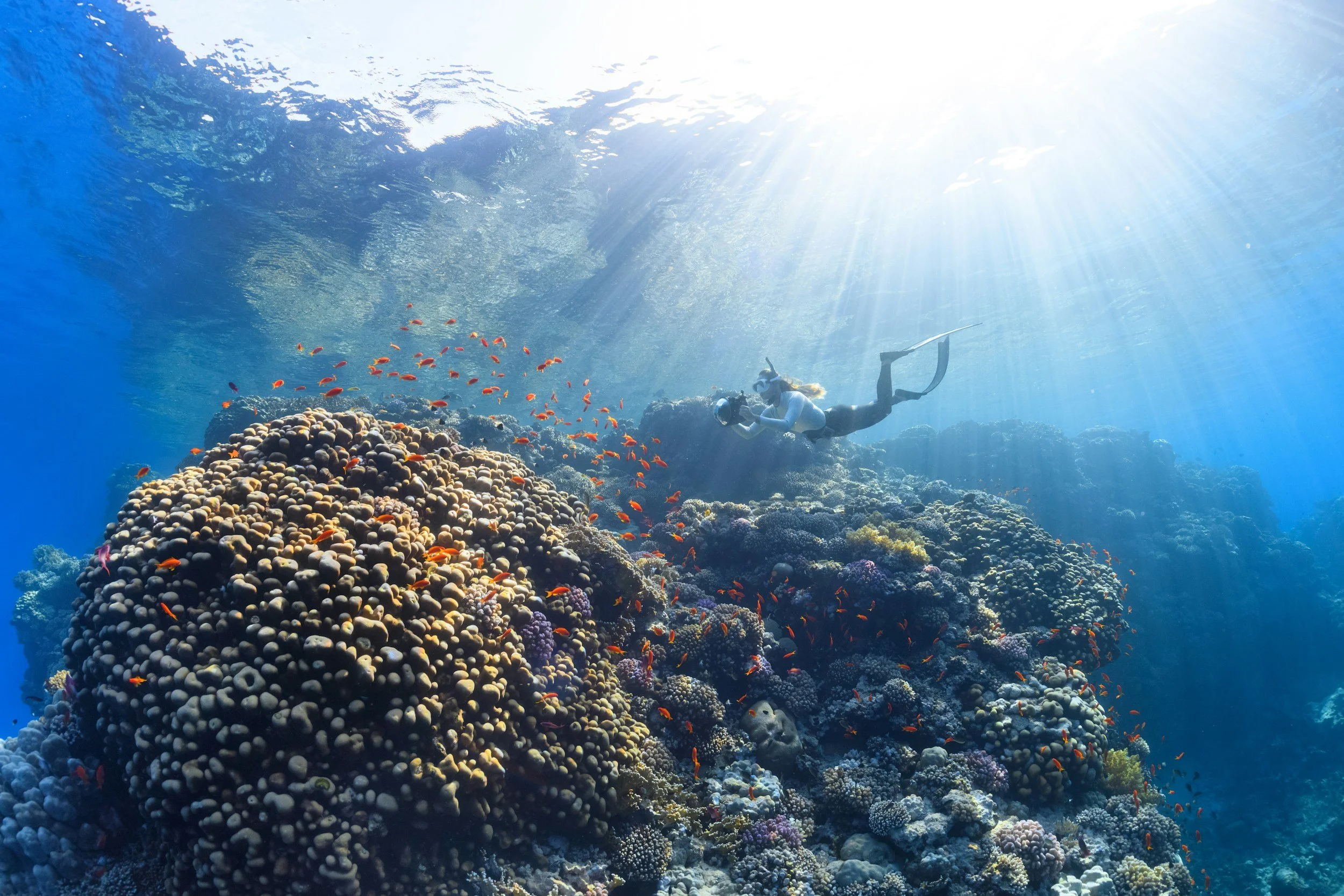 A diver swims near a vibrant coral reef under sunlight rays, surrounded by a swarm of small orange fish in clear blue waters. Peaceful and enchanting.