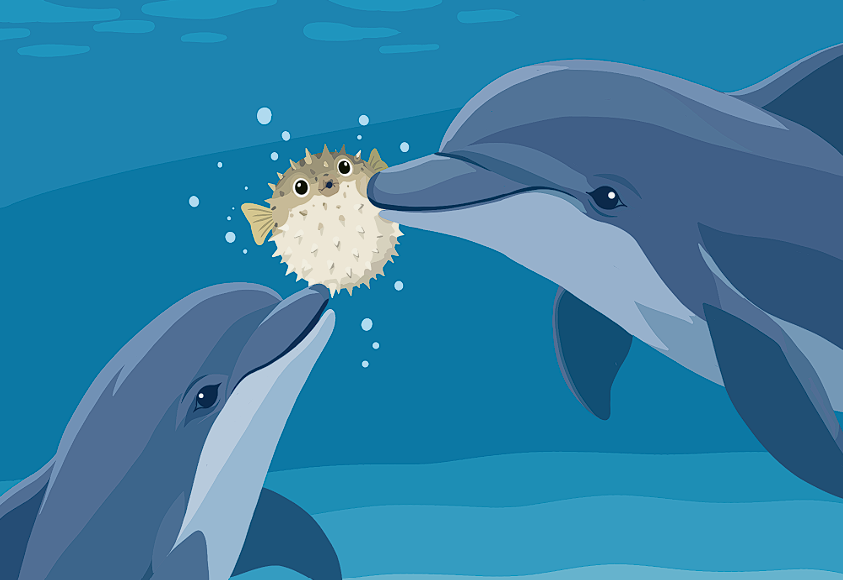 Puff, Puff, Pass? The Science Behind Dolphins and Pufferfish