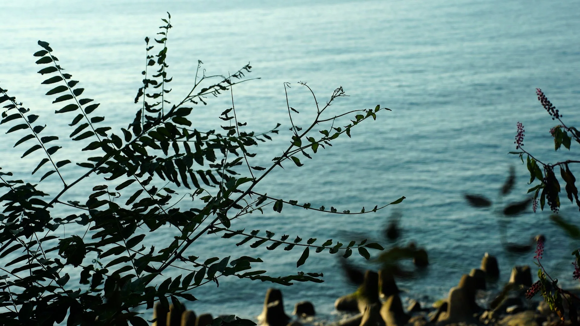 ALightInTheBlack_Still01.jpg