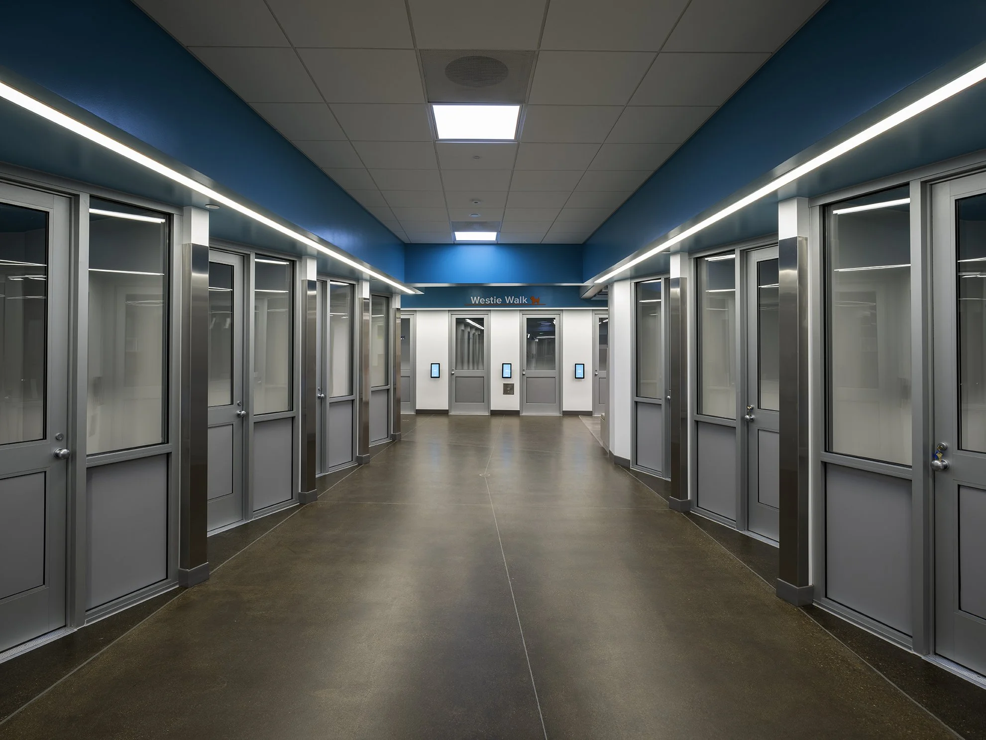 Grand Opening: San Diego Humane Society Adoptions Center — COAR Design ...