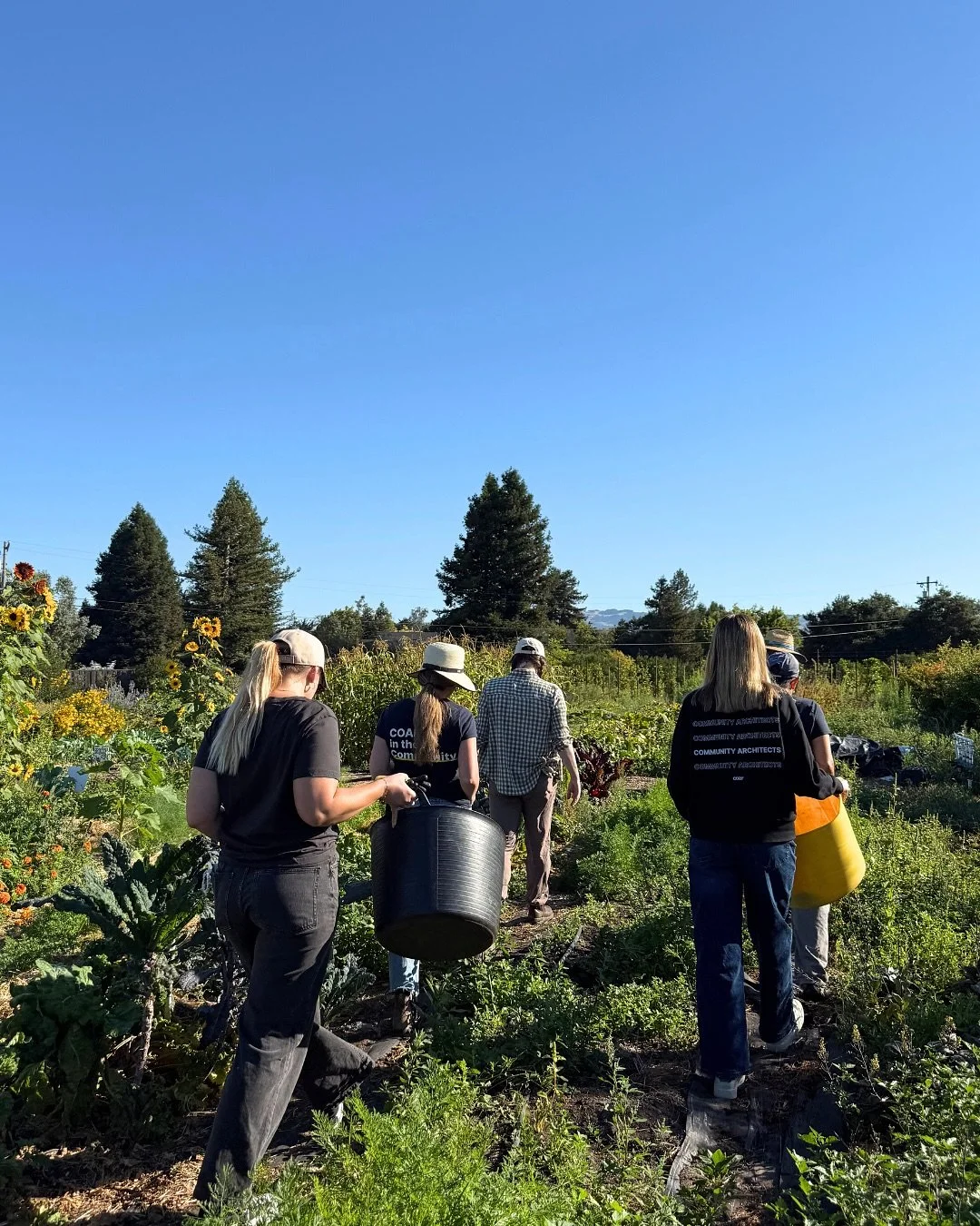 Farm day best day! 👩&zwj;🌾🌻 We had a fantastic time volunteering at the @cerescommunityproject Community Garden in Petaluma. We started our day off in the sunshine, getting our hands dirty, reconnecting with nature, and picking beautiful bouquets,