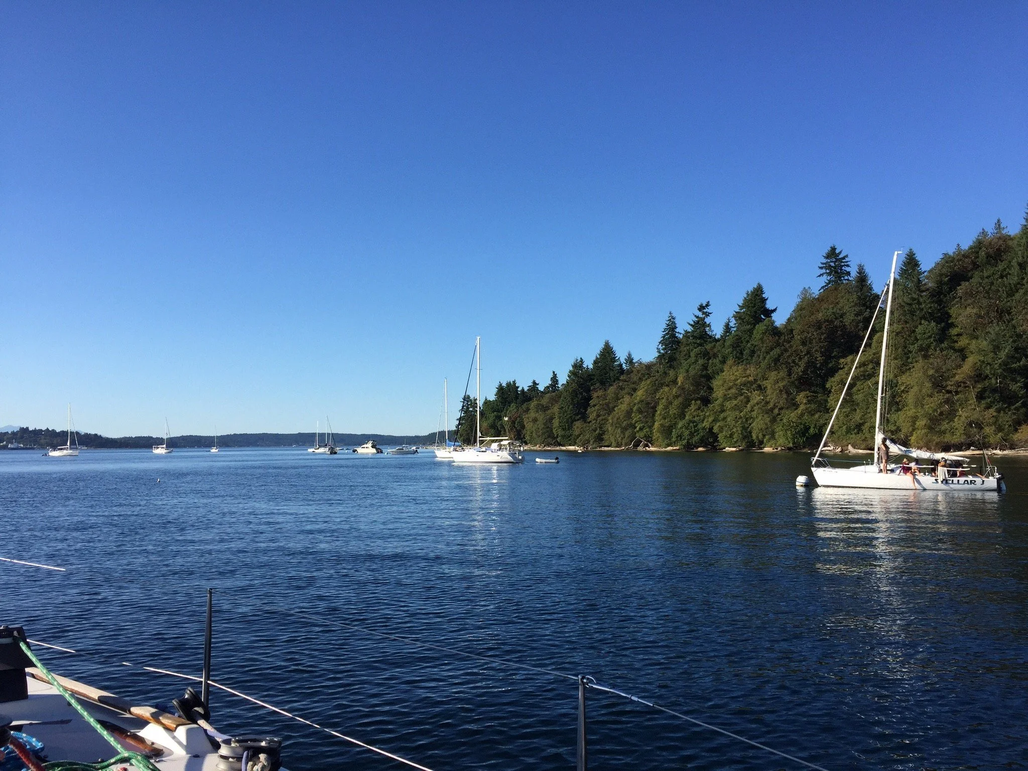 Seattle_Heather Mertes.jpg