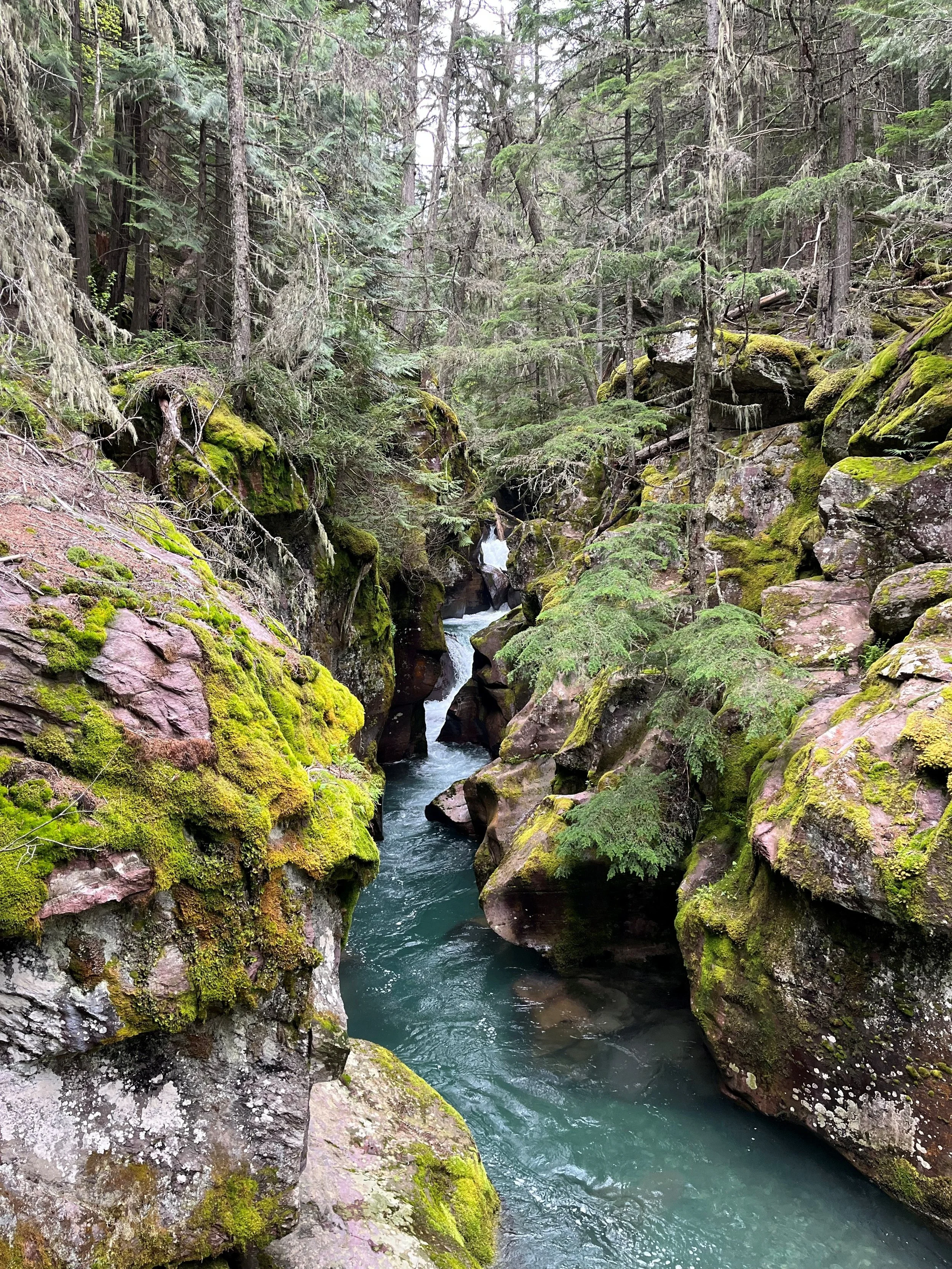 Montana 3_Heather Mertes.jpg
