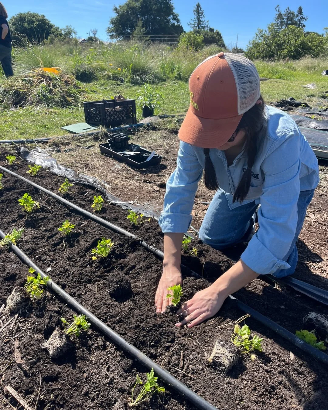 A day well spent, grounded in community 👩&zwj;🌾🌻

In honor of #EarthDay, our team returned to the @cerescommunityproject Community Garden in Petaluma, to help clean up garden beds and plant fresh parsley and cabbage.

Ceres Community Project is an