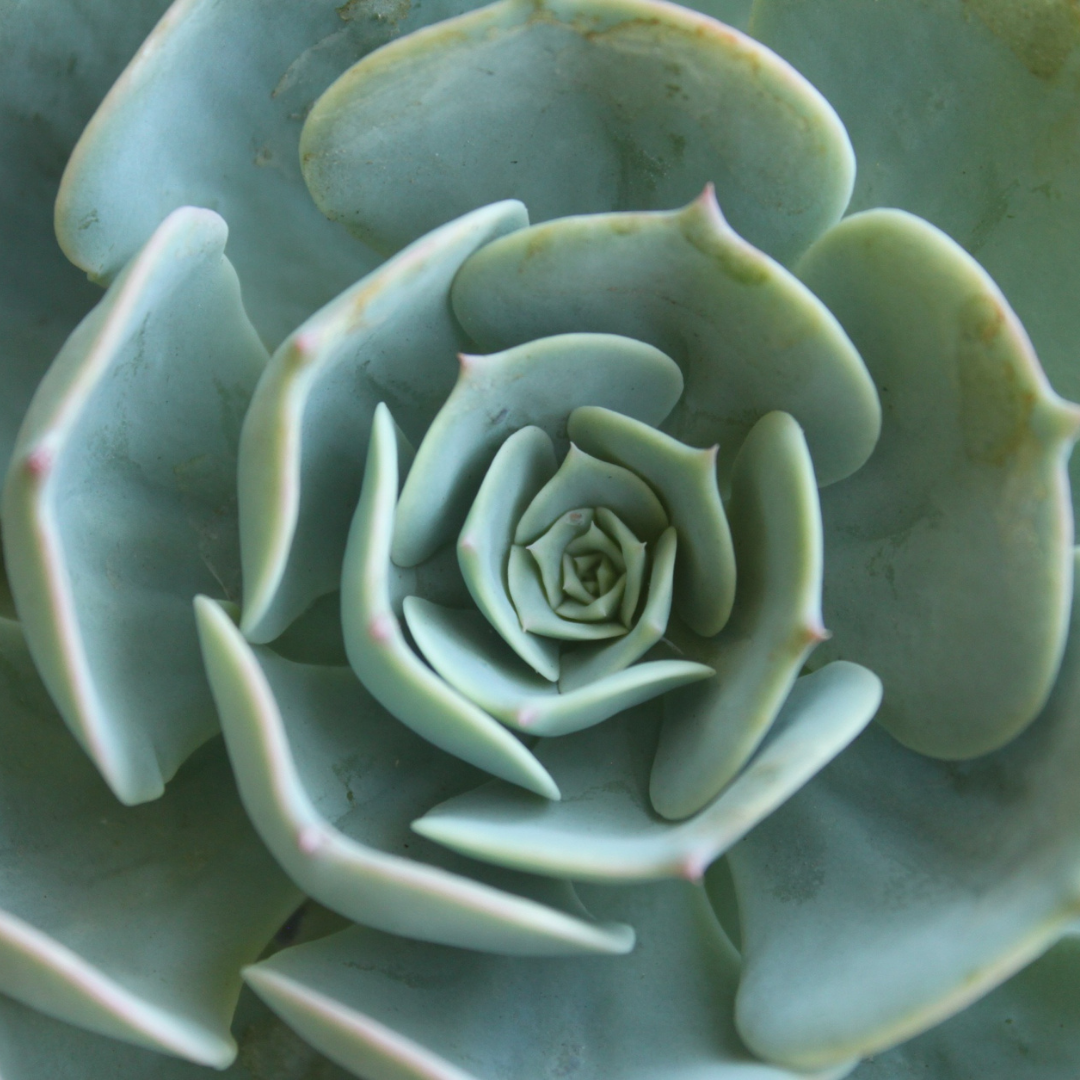 Events — Soul Shine Yoga & Boutique