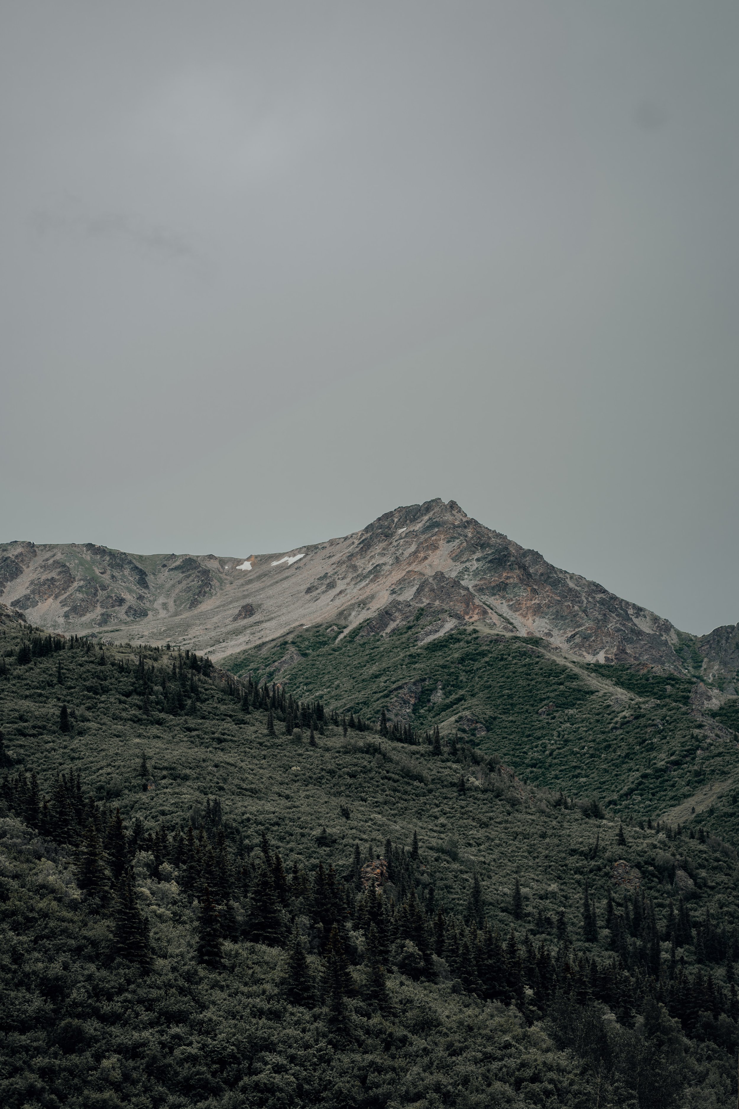 5CFB690F-C683-4A3C-AA83-5E41A70731EC.jpeg