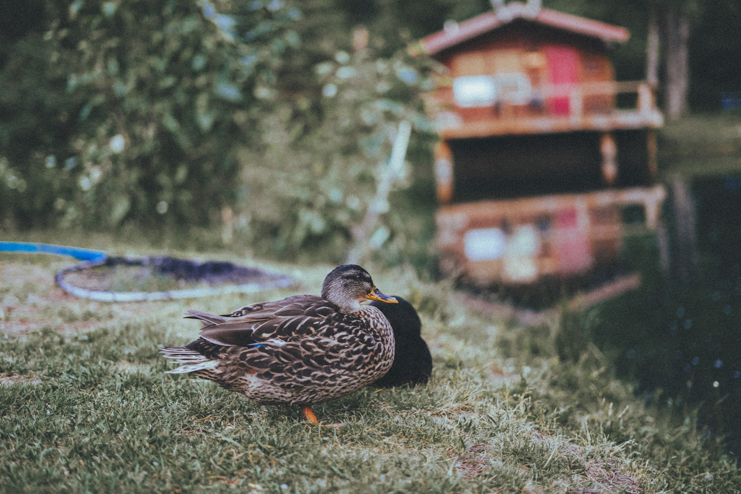 C735CB23-A63E-48E3-97F8-00816926B300.jpeg