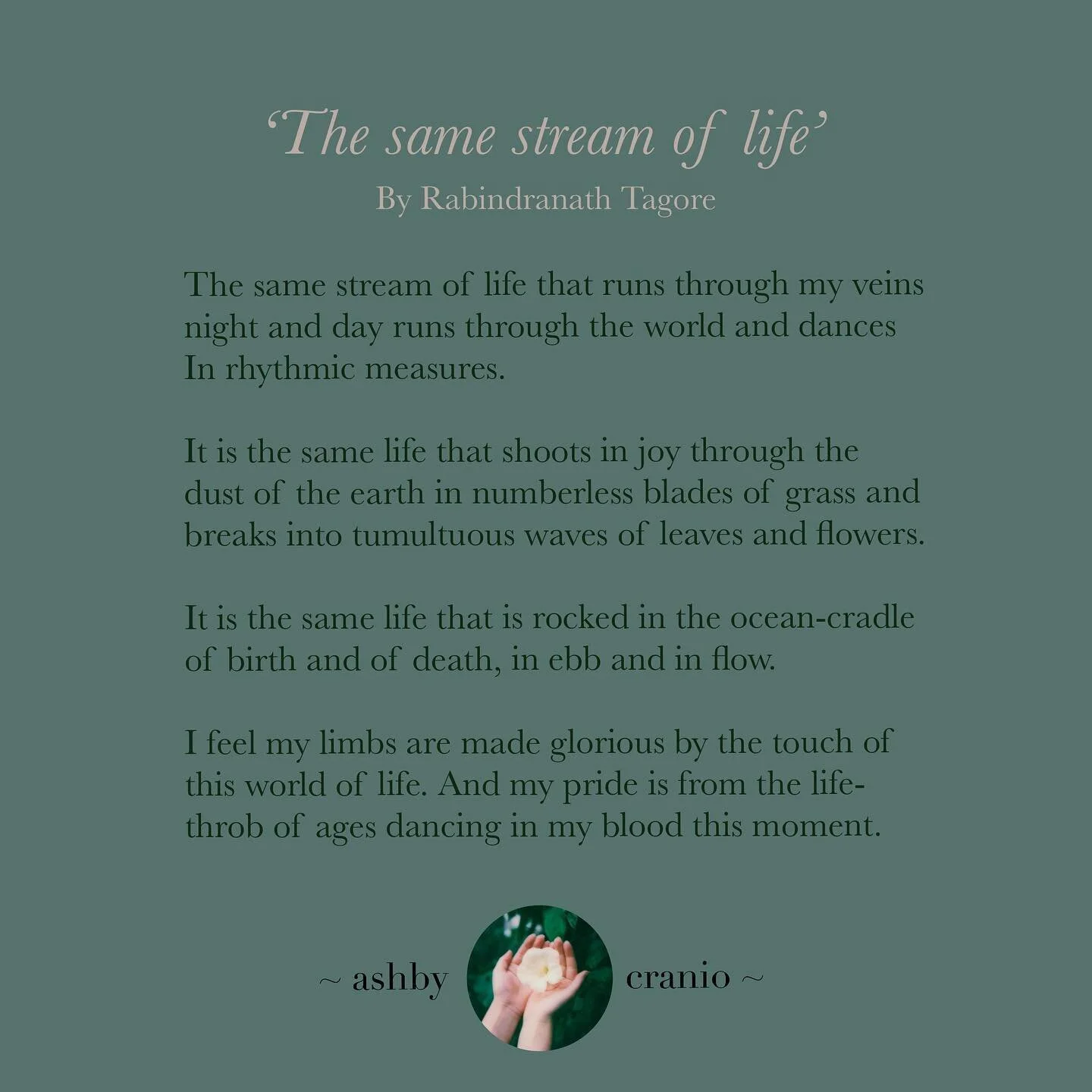A favourite of mine and one that speaks to me of our work in CST. 

In biodynamic craniosacral practice we acknowledge that the same intelligence, life force and potency that we see in the world around us is also resident and at work within ourselves