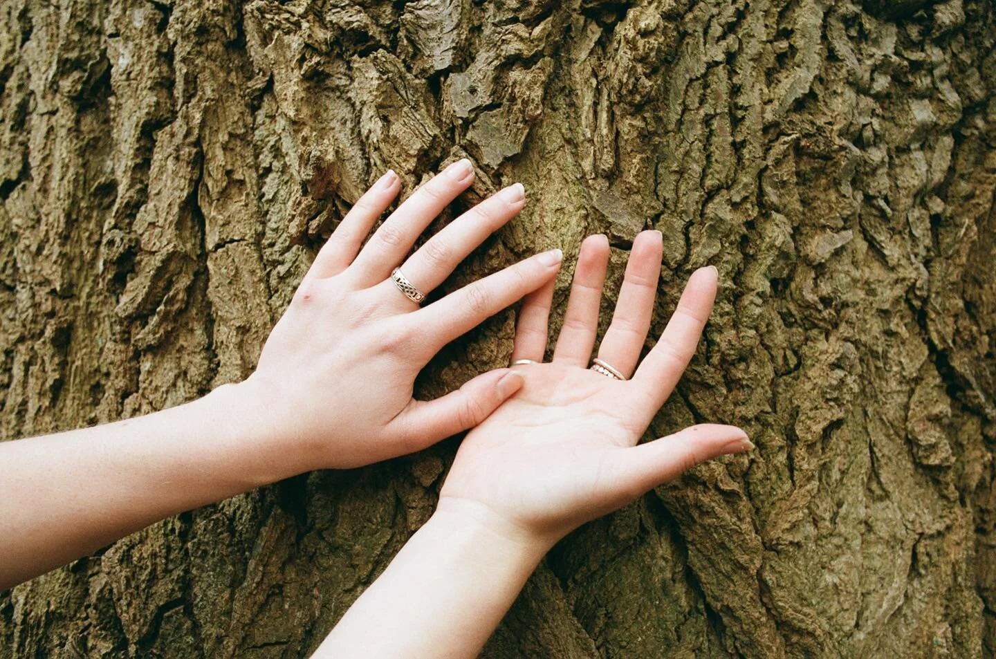 🌾🤲🏻🫀 

Wishing you all a gentle and fulfilling transition into this new year. A huge and heartfelt thank you to all my wonderful clients, fellow practitioners, clinic spaces and support networks. What a joy and privilege it is to work alongside y