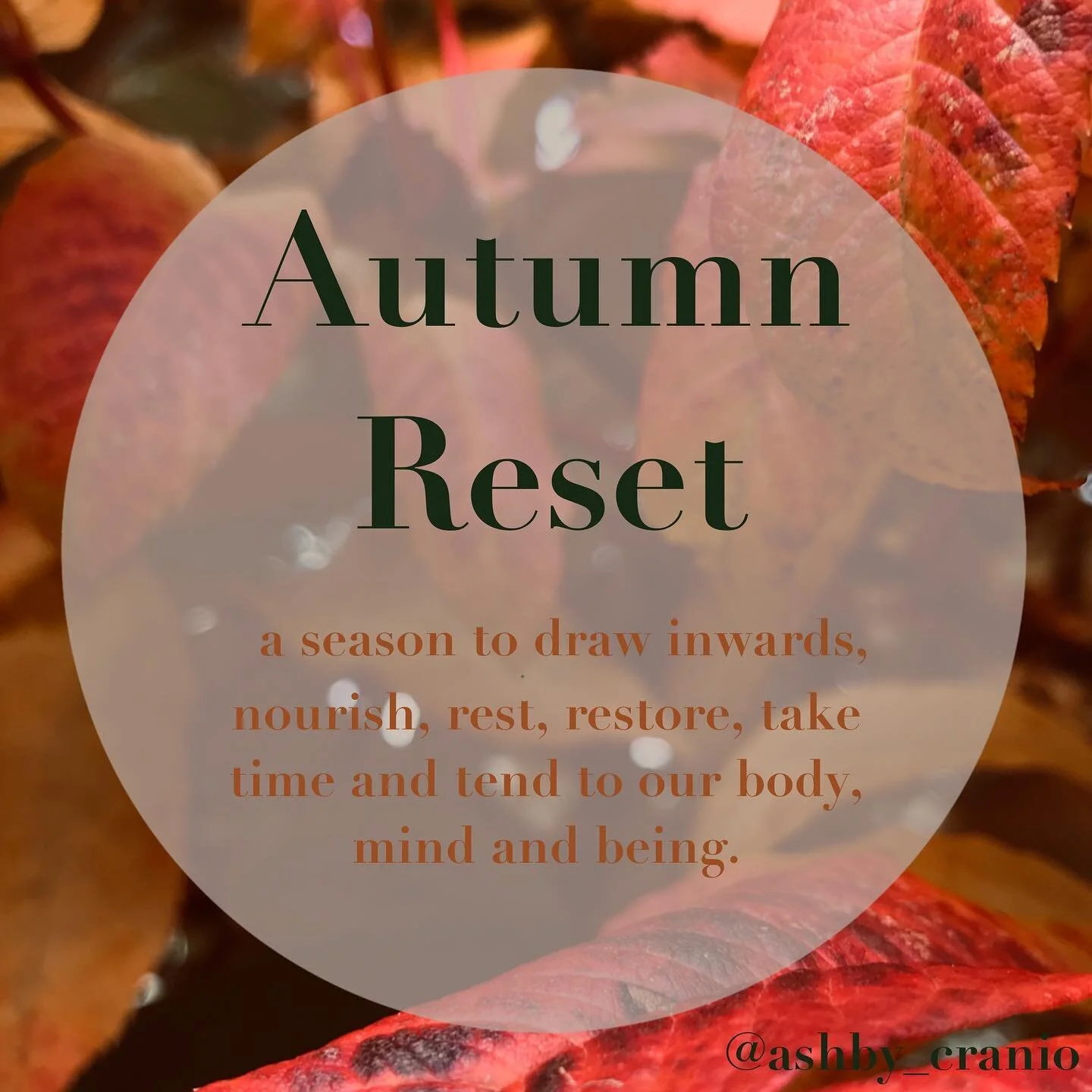 We are deeply attuned with our surroundings and often forget that we too are cyclical beings 
🍁
Autumn can be a great opportunity to rekindle connection with ourselves and tend to all the things we put aside in the heat and excitement of summer. A c