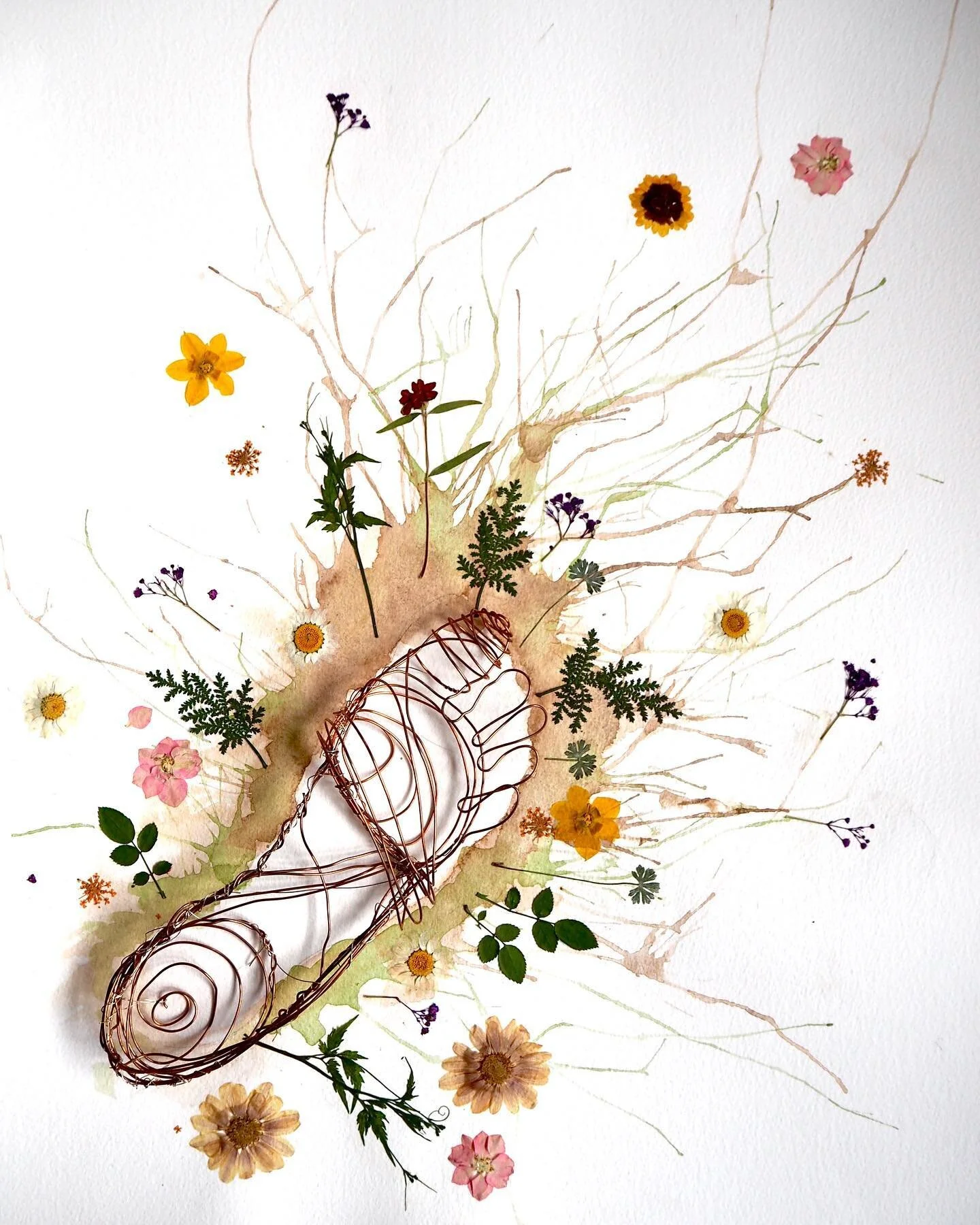 🌾Rooting🌿

~find your feet~