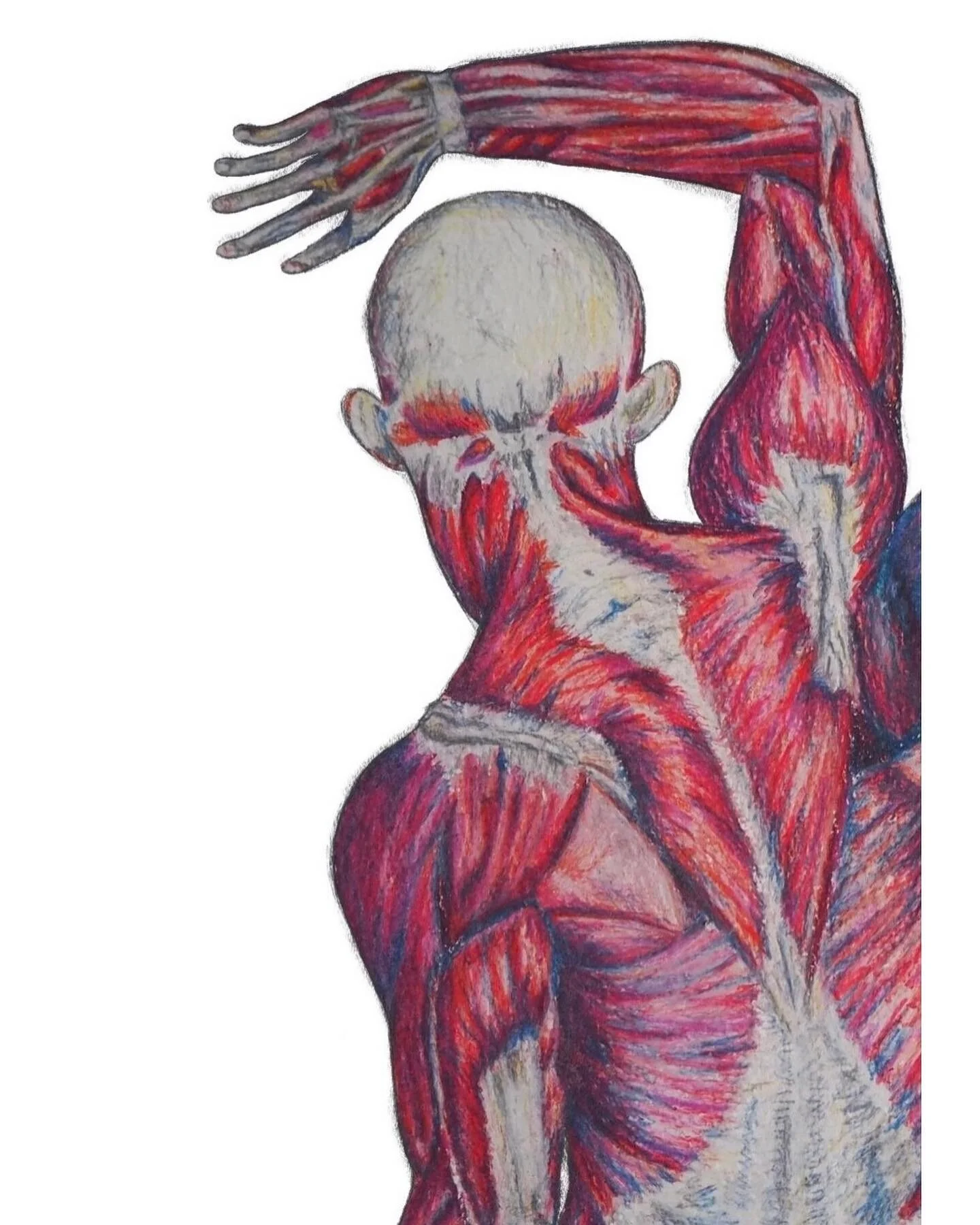 We hold great intricacy, intelligence and beauty within 🫀

&copy; artwork by &Aacute;ine Ashby