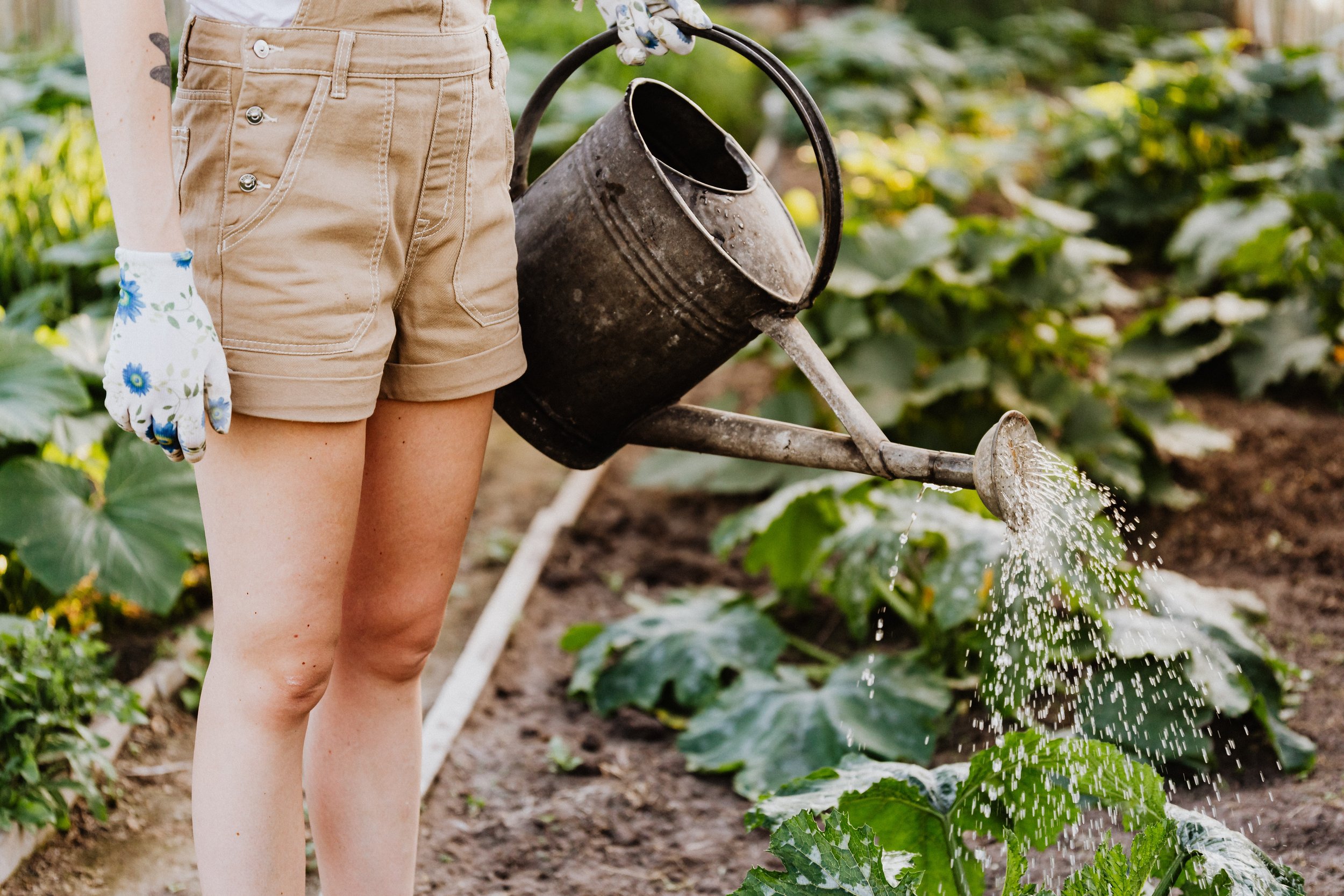 Gardening with disposable pipette tip racks