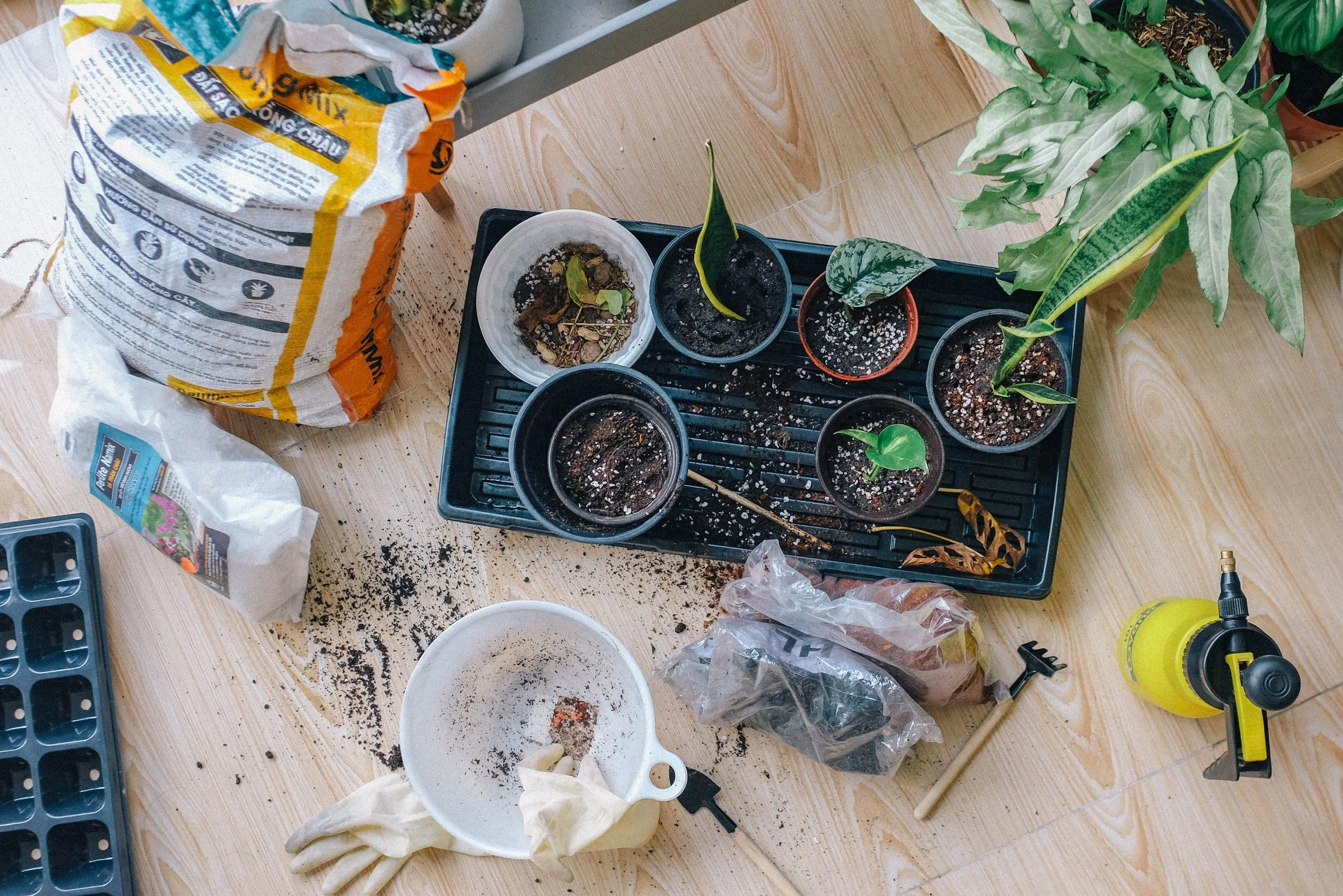 Gardens built from recycled lab supplies
