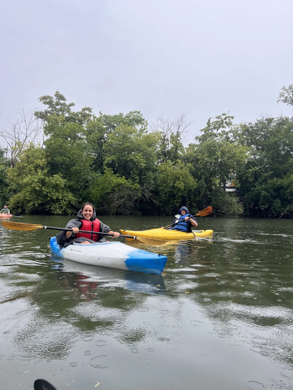 HappiLabs contributing to community2.jpeg