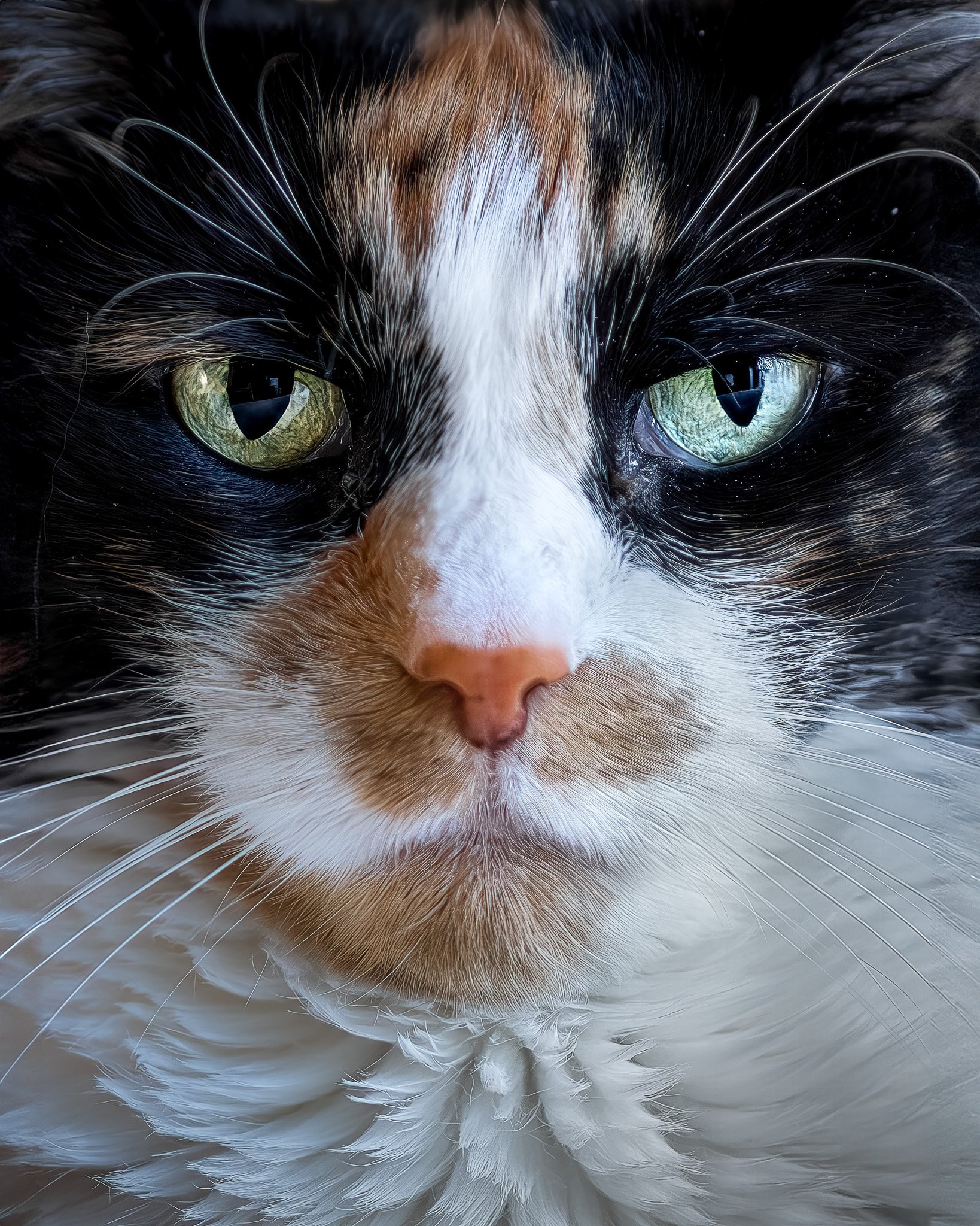 _C170097-Enhanced-NR-Edit-Edit-Edit-Edit-Edit.jpg