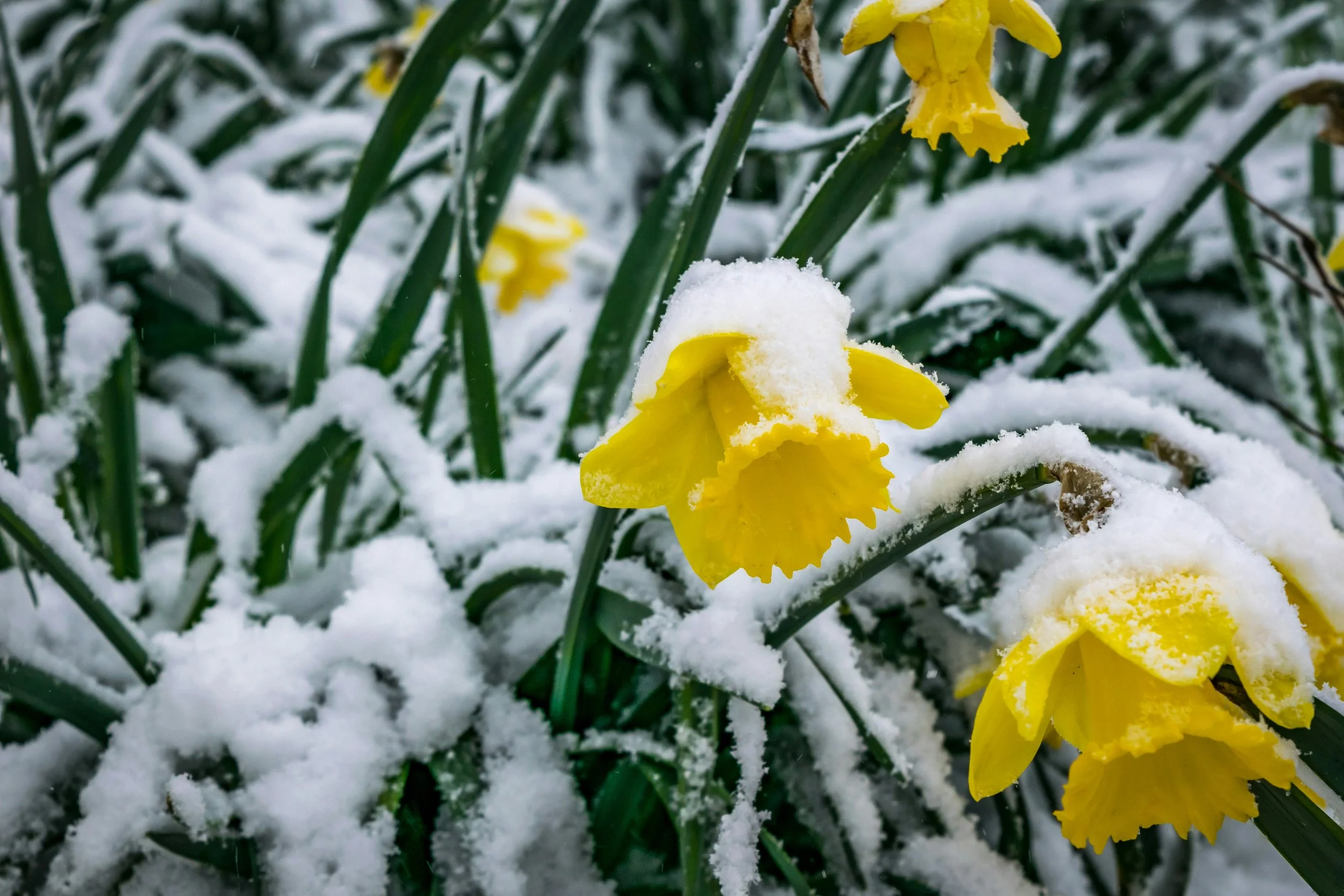 When things don't turn out as you expected