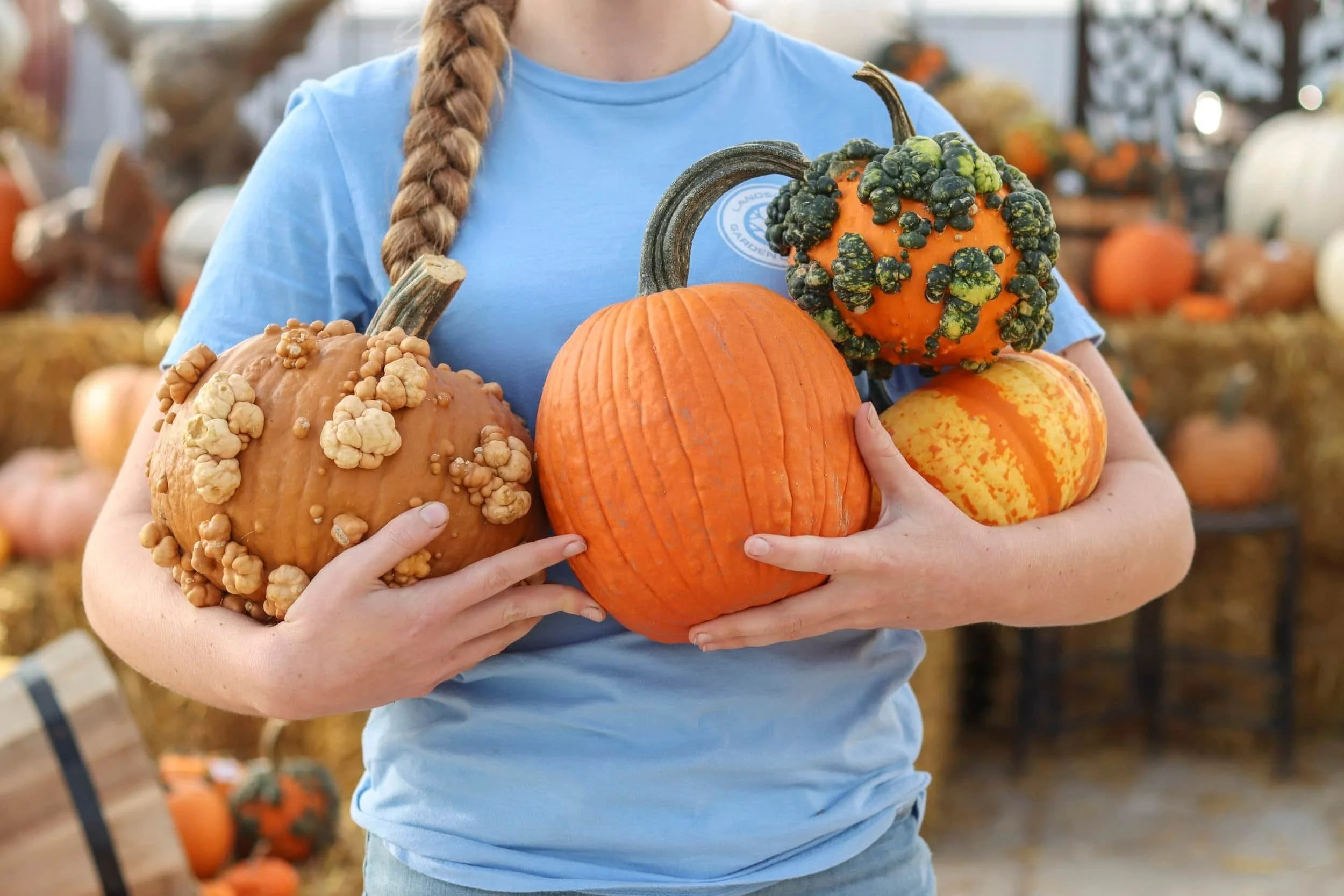 Landscape Garden Centers worker holding 4 different kinds of pumpkins