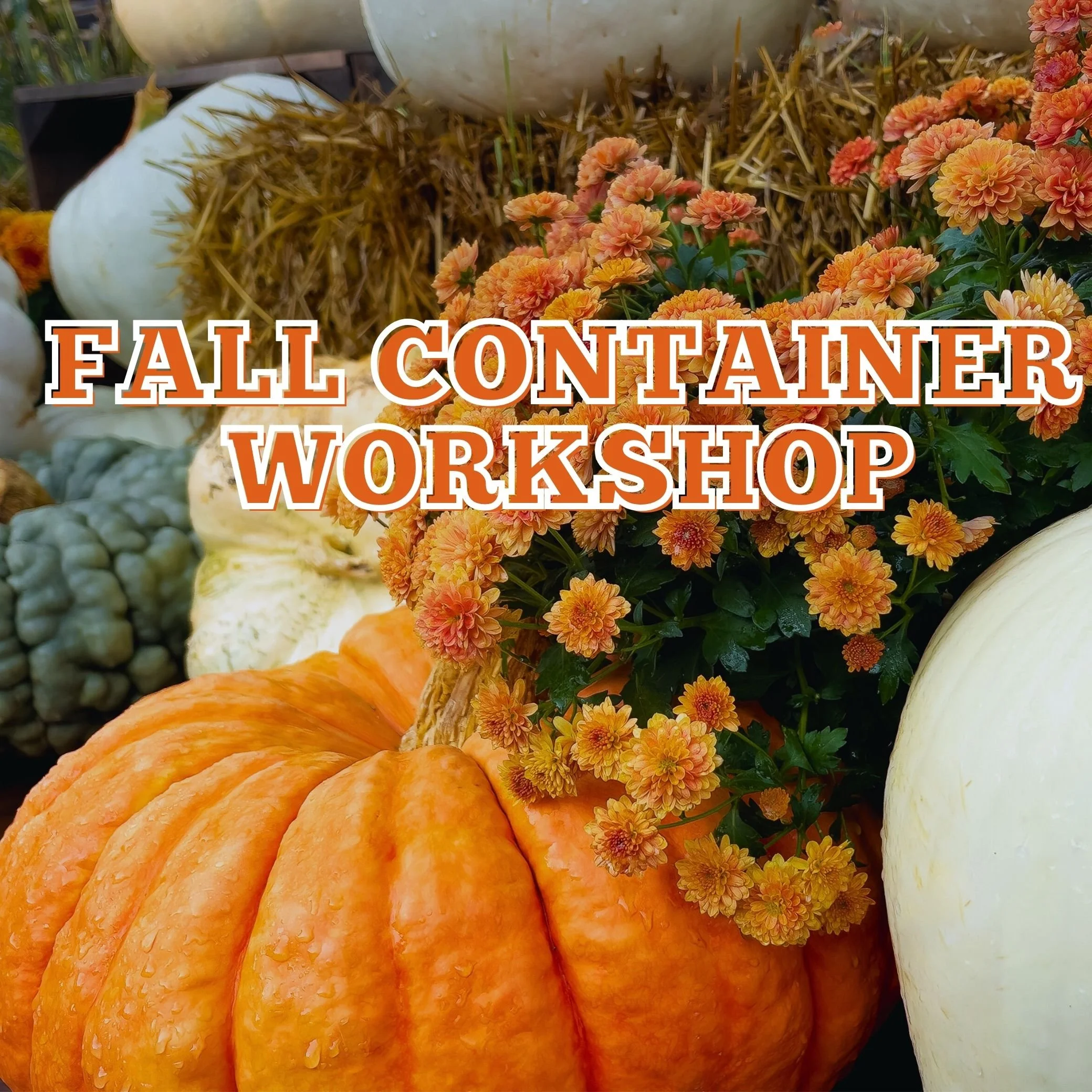 Fall Workshop SQ.jpg