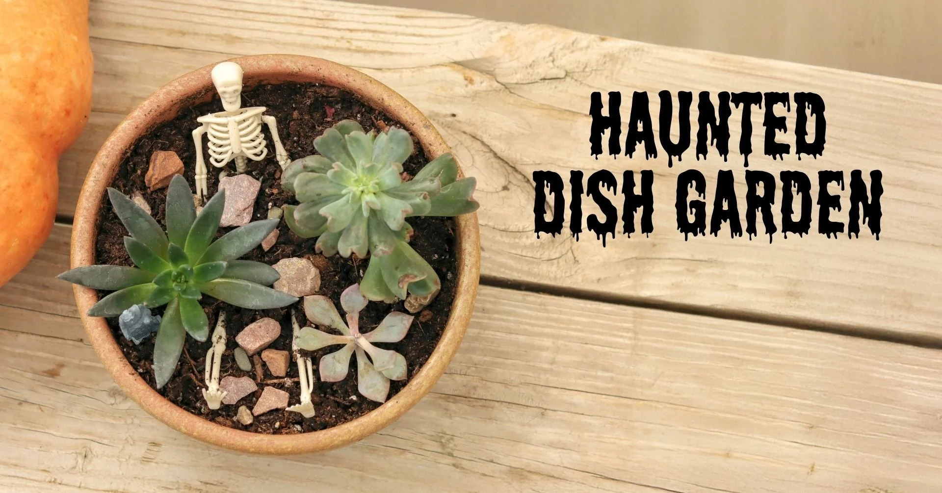 Haunted dish garden