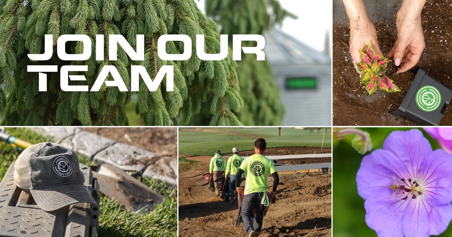 Spring Hiring Event - Walk-in Interviews