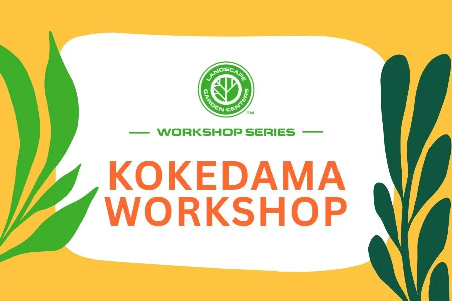 Kokedama Workshop