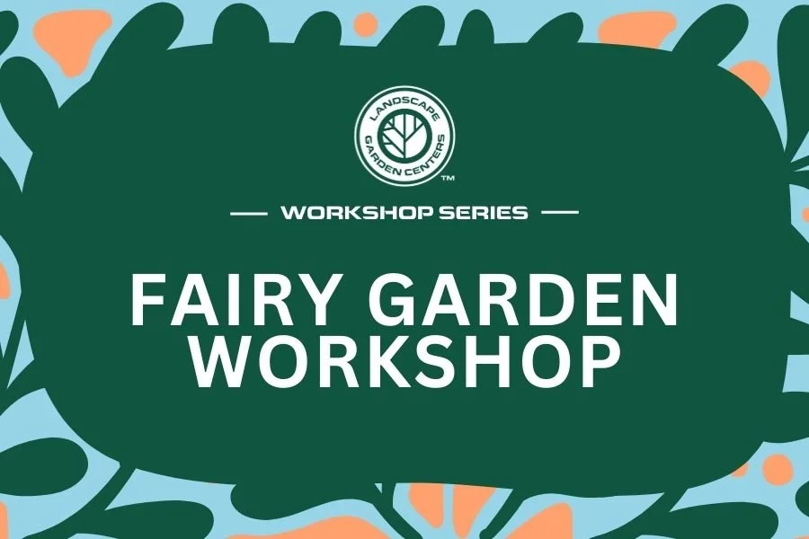 Fairy Garden Workshop